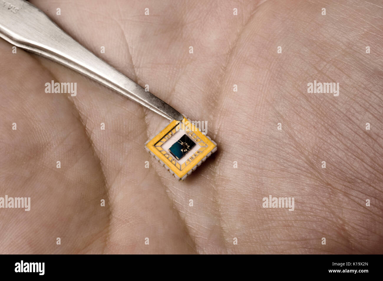 Experimental transistor device mounted on a graphenecoated substrate