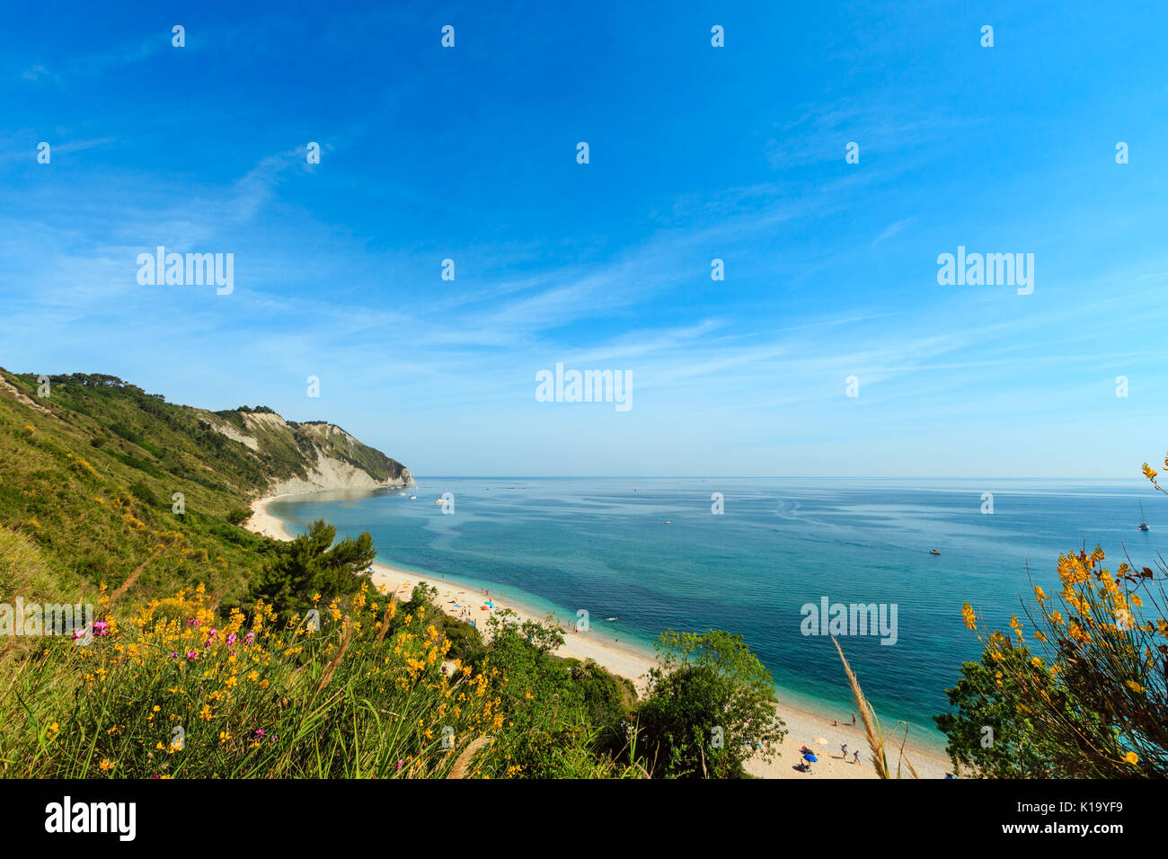 summer-adriatic-sea-bay-and-blossoming-spiaggia-mezzavalle-beach-near