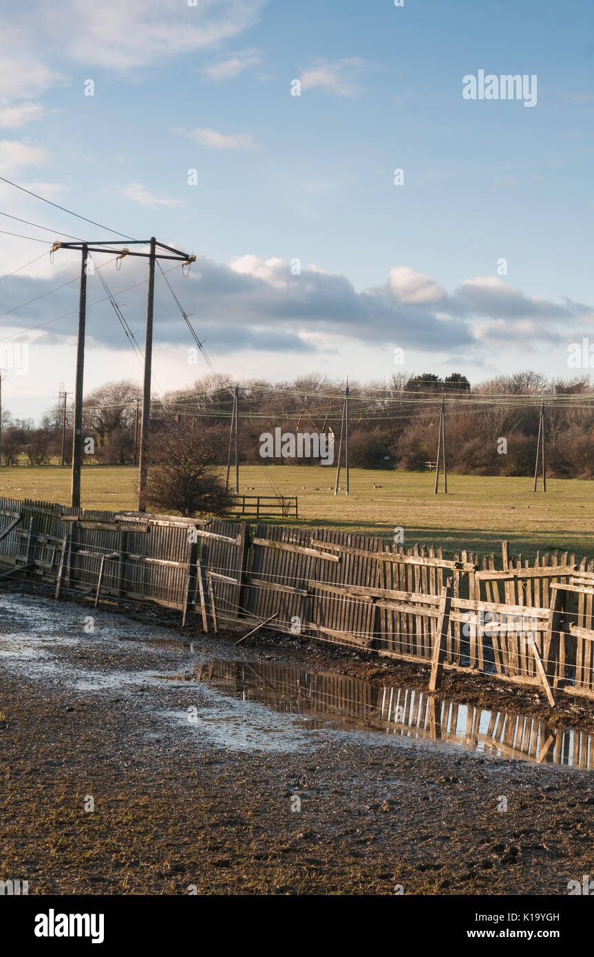 Rising Sun Country Park North Tyneside UK Stock Photo Alamy