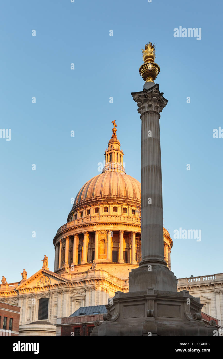 St Paul's Cathedral and the Paternoster Square Column,basked in warm sunlight, London UK Stock Photo