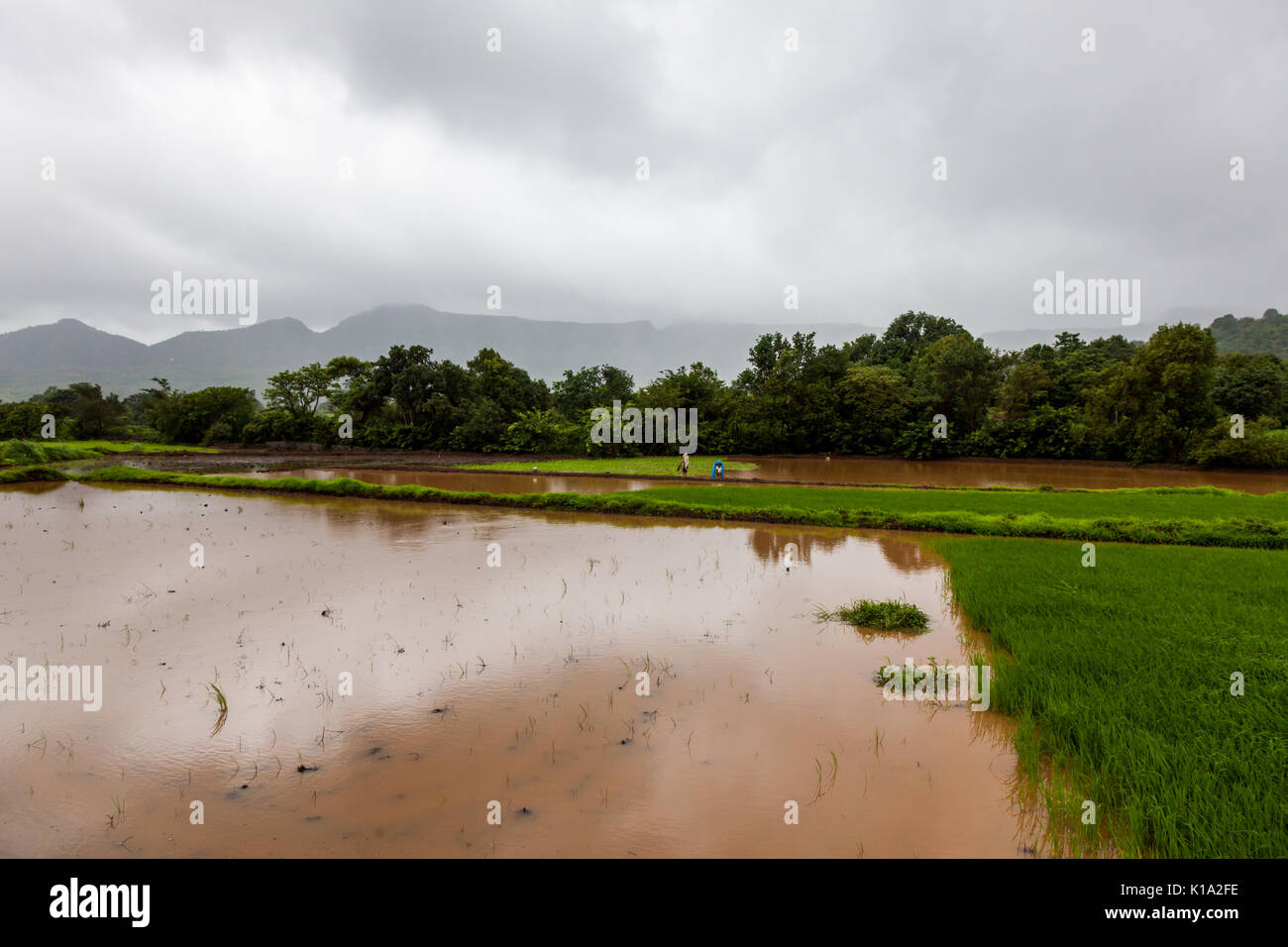 Monsoon landscapes around the western ghats around Pune, Maharashtra Stock Photo