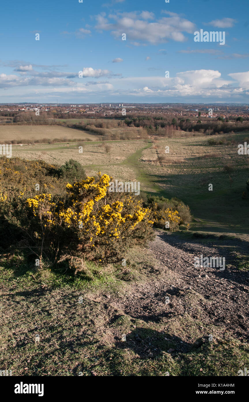 Rising Sun Country Park North Tyneside UK Stock Photo Alamy