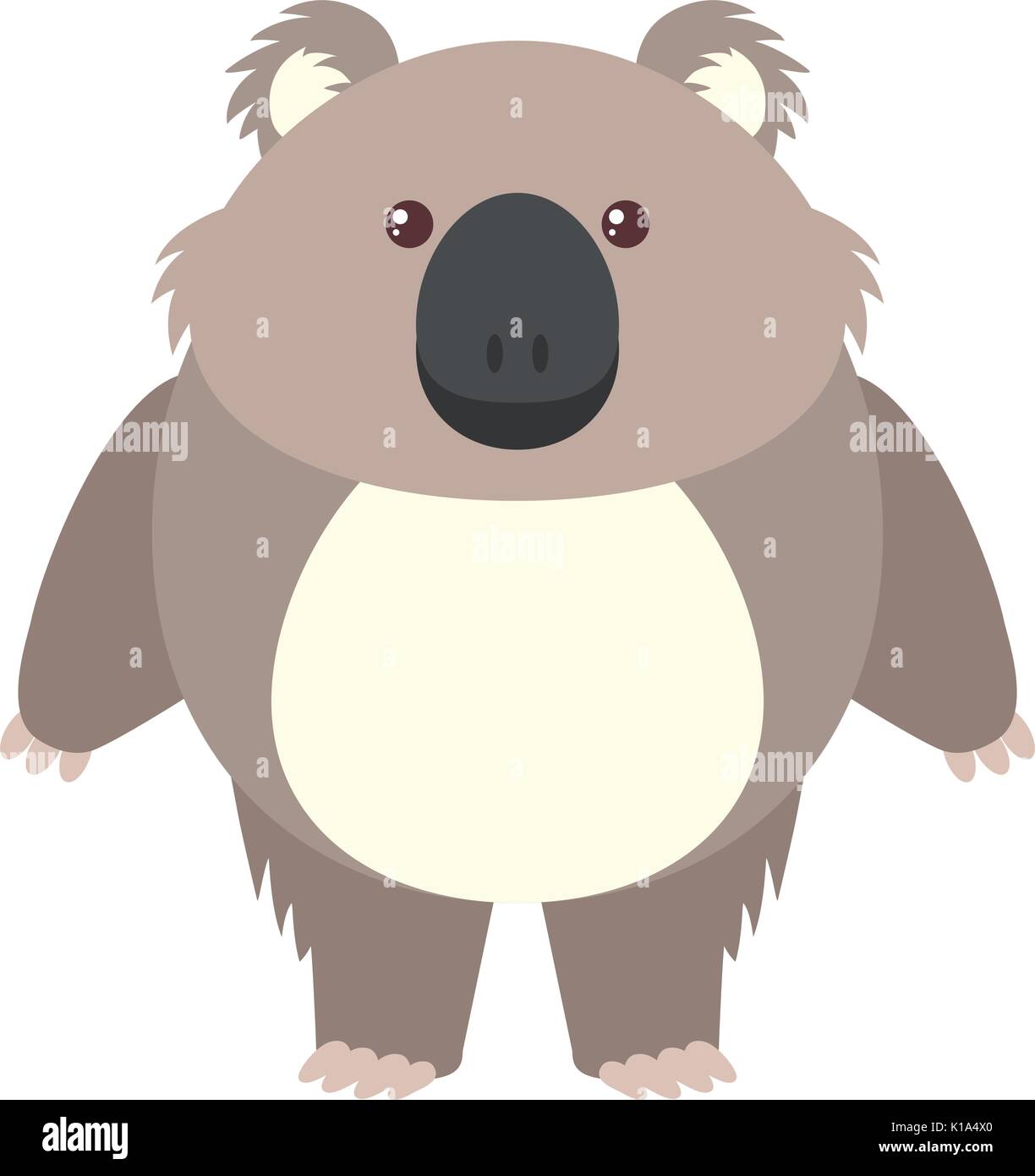 Cute koala on white background illustration Stock Vector Image & Art ...