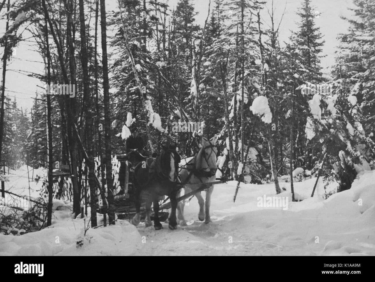 Horse drawn sled hi-res stock photography and images - Alamy