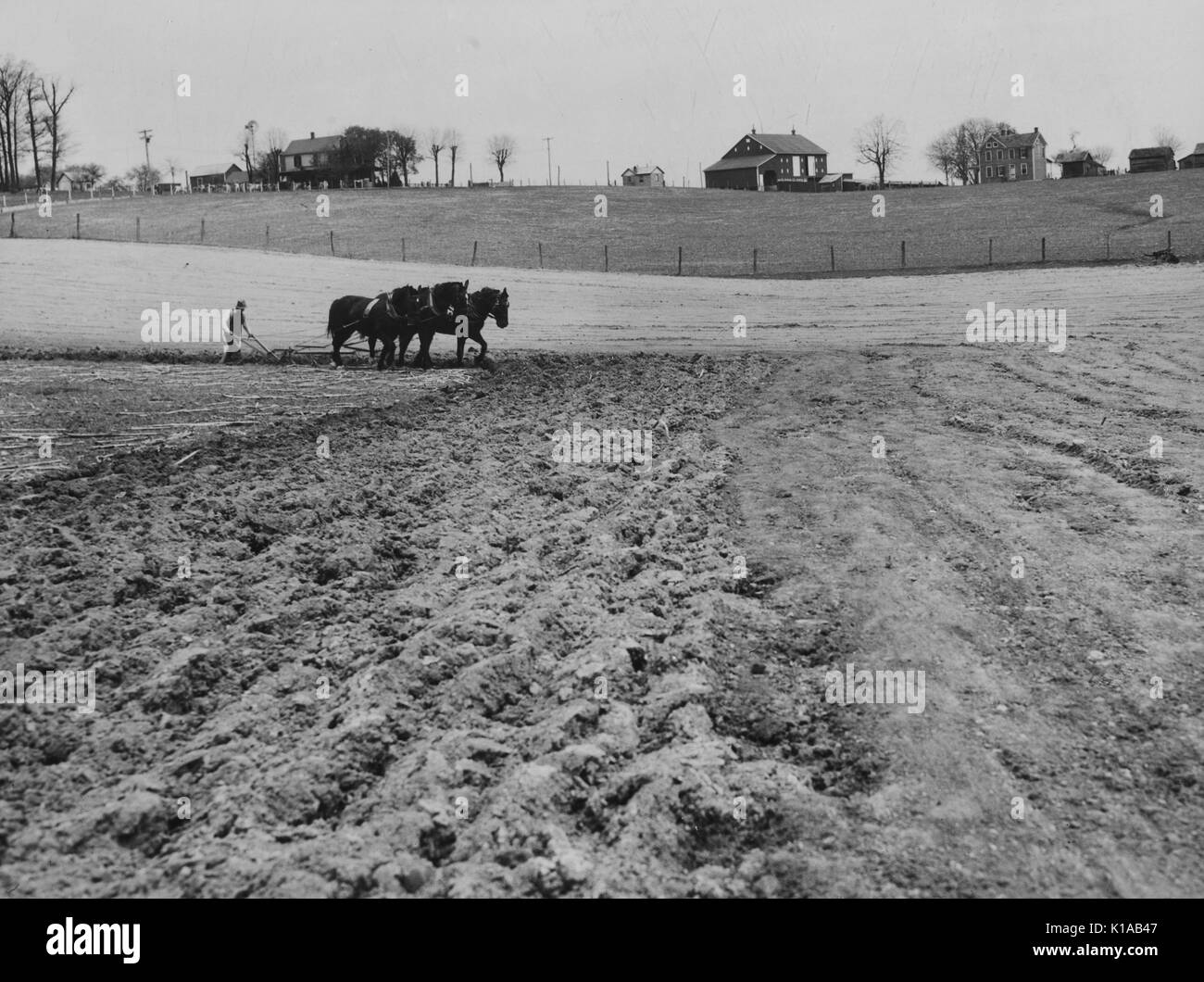 A farmer using a team of horses to turn the soil at his farm, situated in a rural community with houses visible in the background, Maryland, 1936. From the New York Public Library. Stock Photo