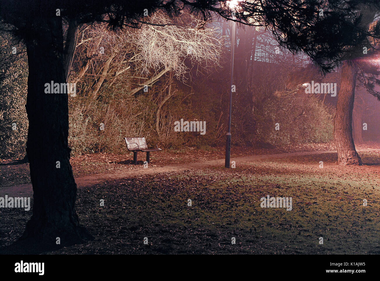 Park Bench Night High Resolution Stock Photography and Images Alamy