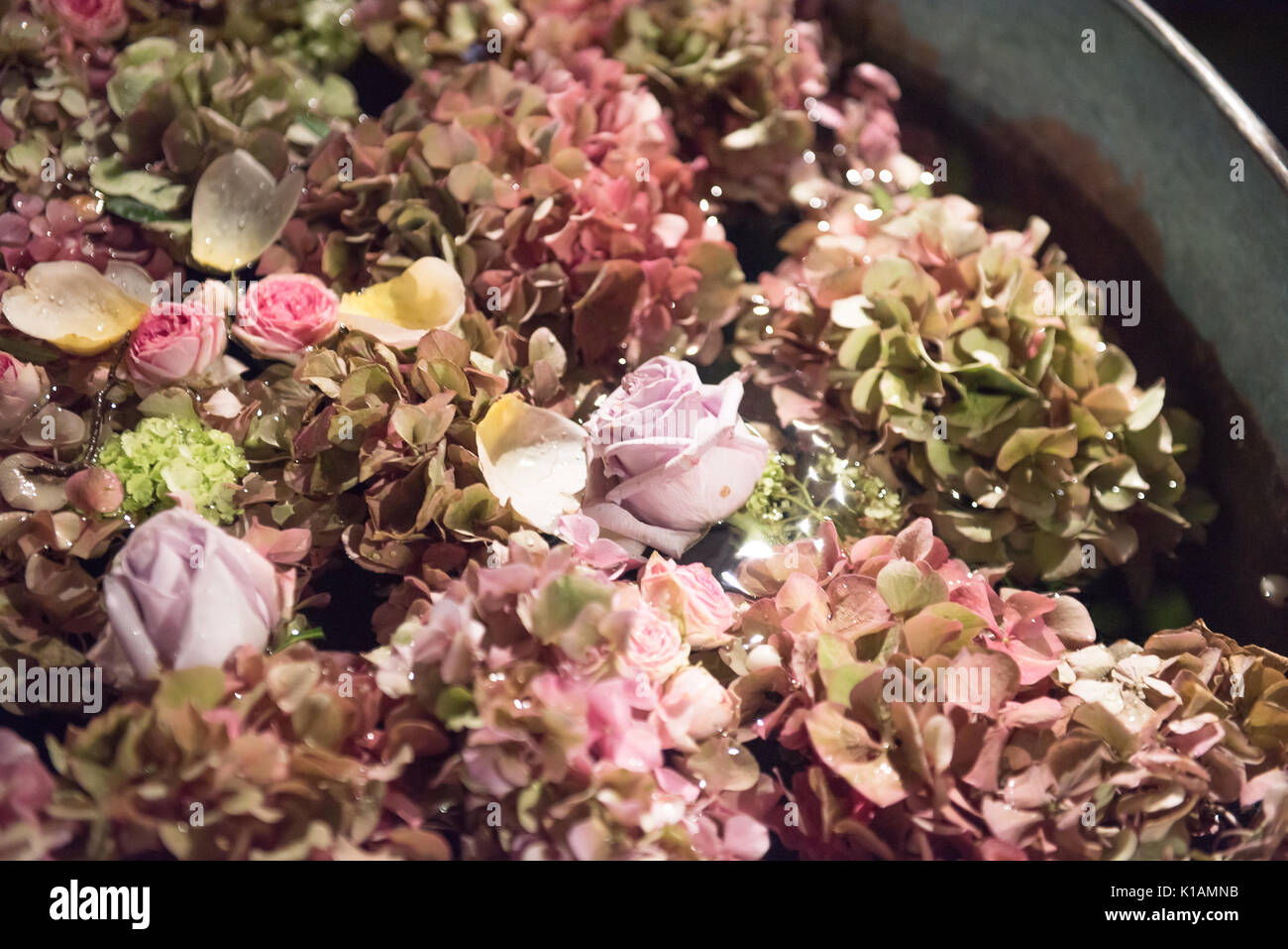 Metal tubs filled with summer flowers. Pink hydrangeas and roses and others viewed high angle on