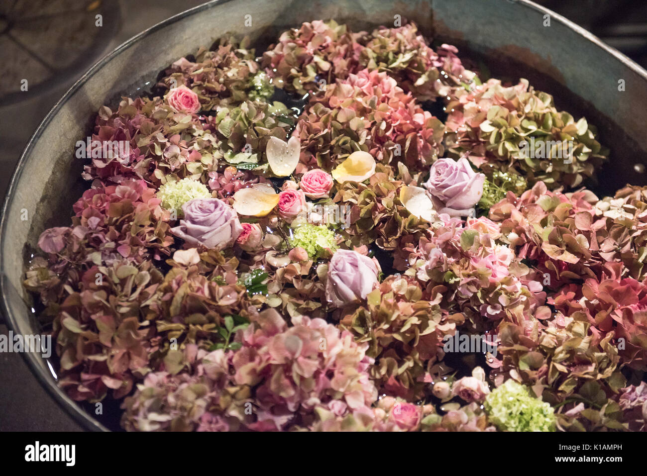 Metal tubs filled with summer flowers. Pink hydrangeas and roses and others viewed high angle on