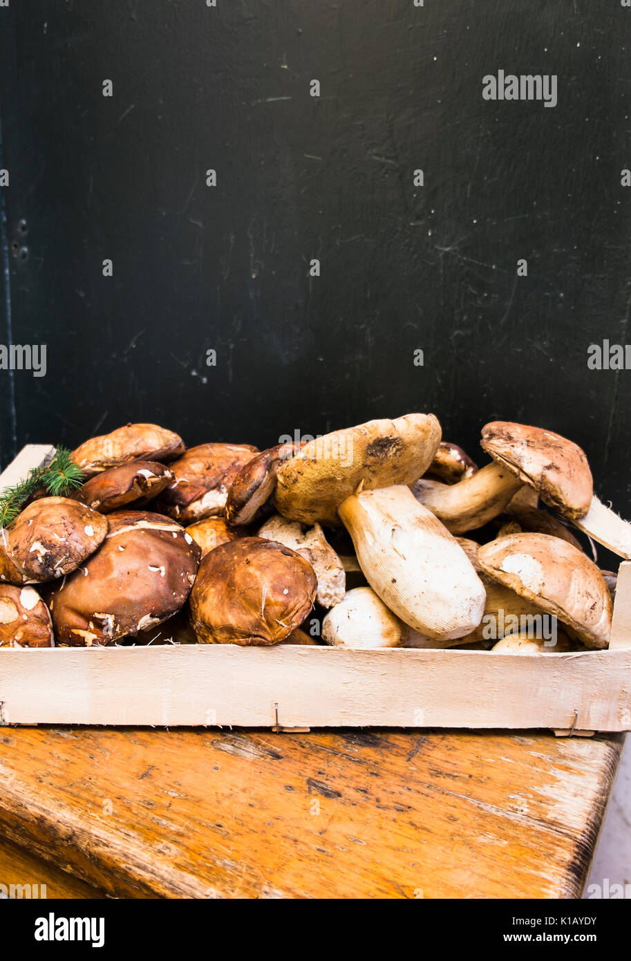 penny bun mushrooms, boletus edulis,  on display in front of a restaurant in the historic city center of rome Stock Photo