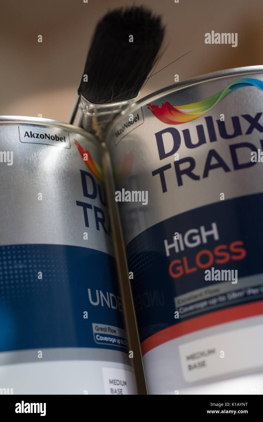 Dulux Trade High Gloss For Sale Order Cheapest