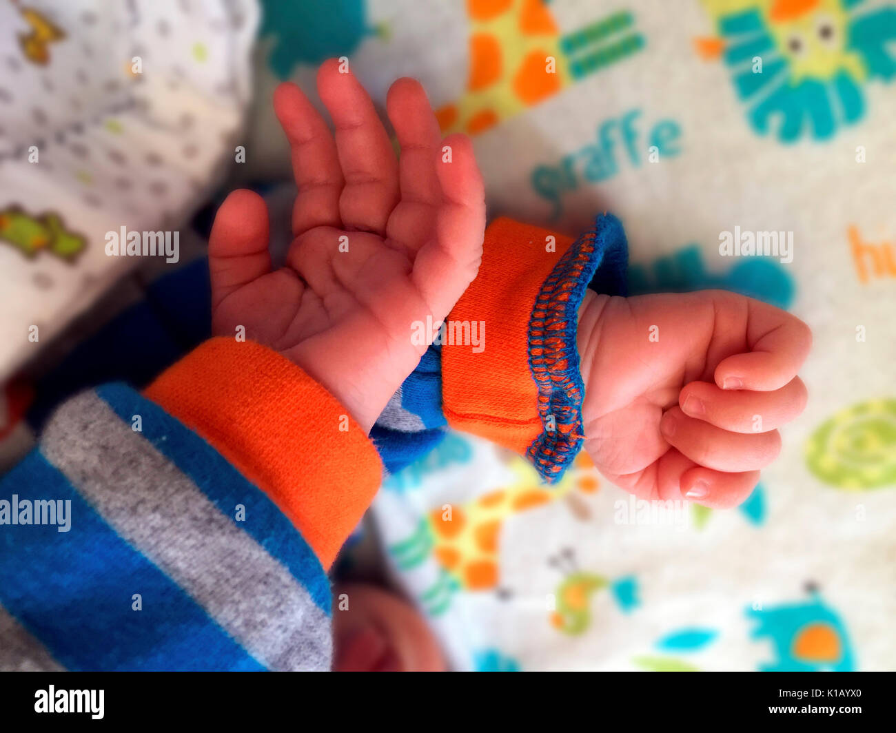 Baby's two hands while he's sleeping, Canada. Conceptual image for relaxation, contentment, repose, peaceful, at ease. Stock Photo