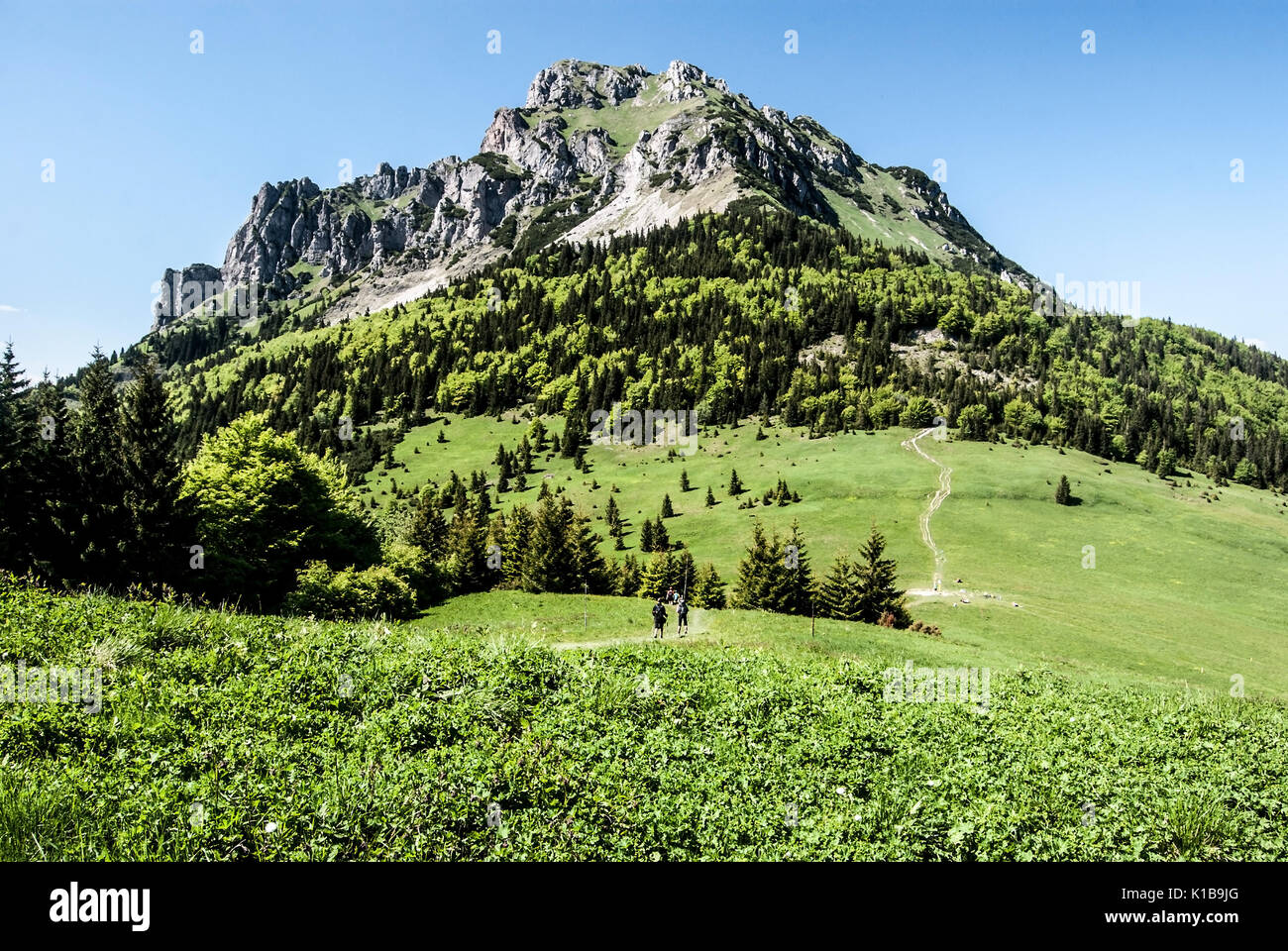 rocky dolomitian Velky Rozsutec hill with mountain meadow and hiking trail with hikers on Medziholie in Mala Fatra mountains in Slovakia during nice d Stock Photo