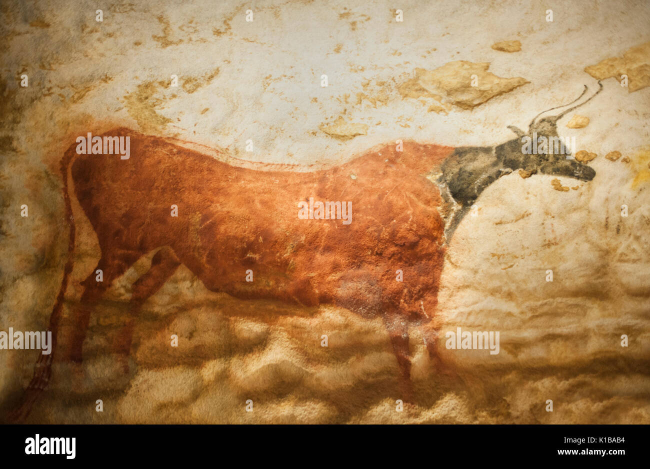 Prehistoric cave paintings of auroch (now extinct wild bull), Lascaux IV caves, Perigord, Montignac, Dordogne, France Stock Photo