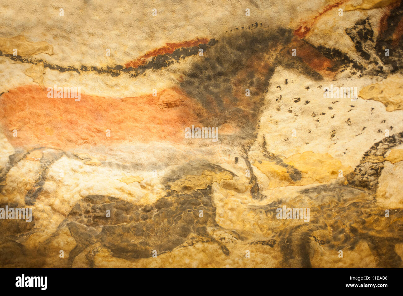 Prehistoric cave paintings of  wild horse, (dun horse), Lascaux IV caves, Perigord, Montignac, Dordogne, France Stock Photo