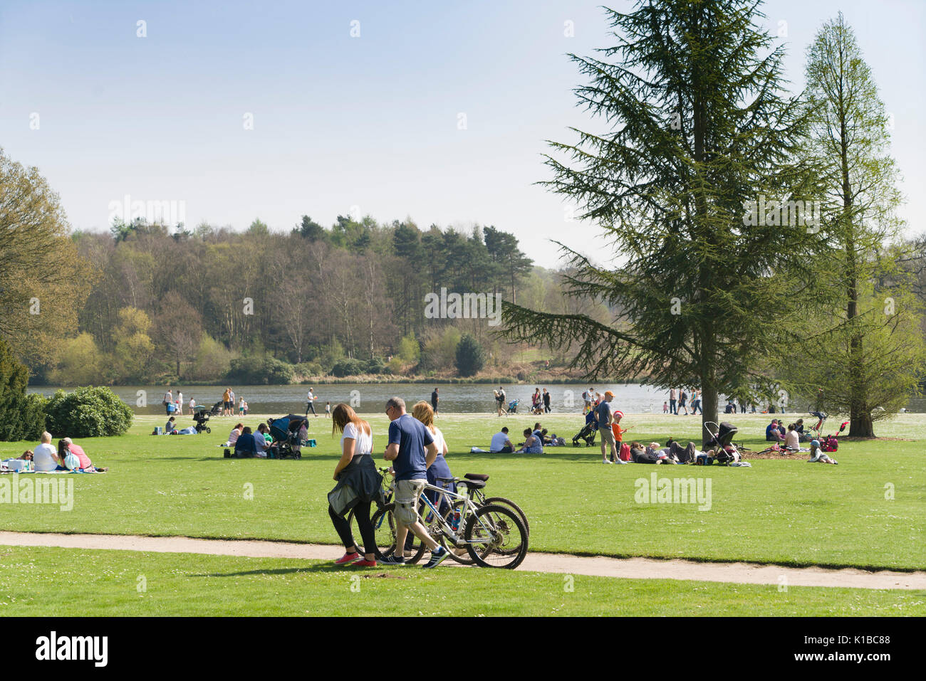 England, Nottinghamshire - Clumber Park, National Trust large estate open to public. The lake, and visitors including cyclists. Stock Photo