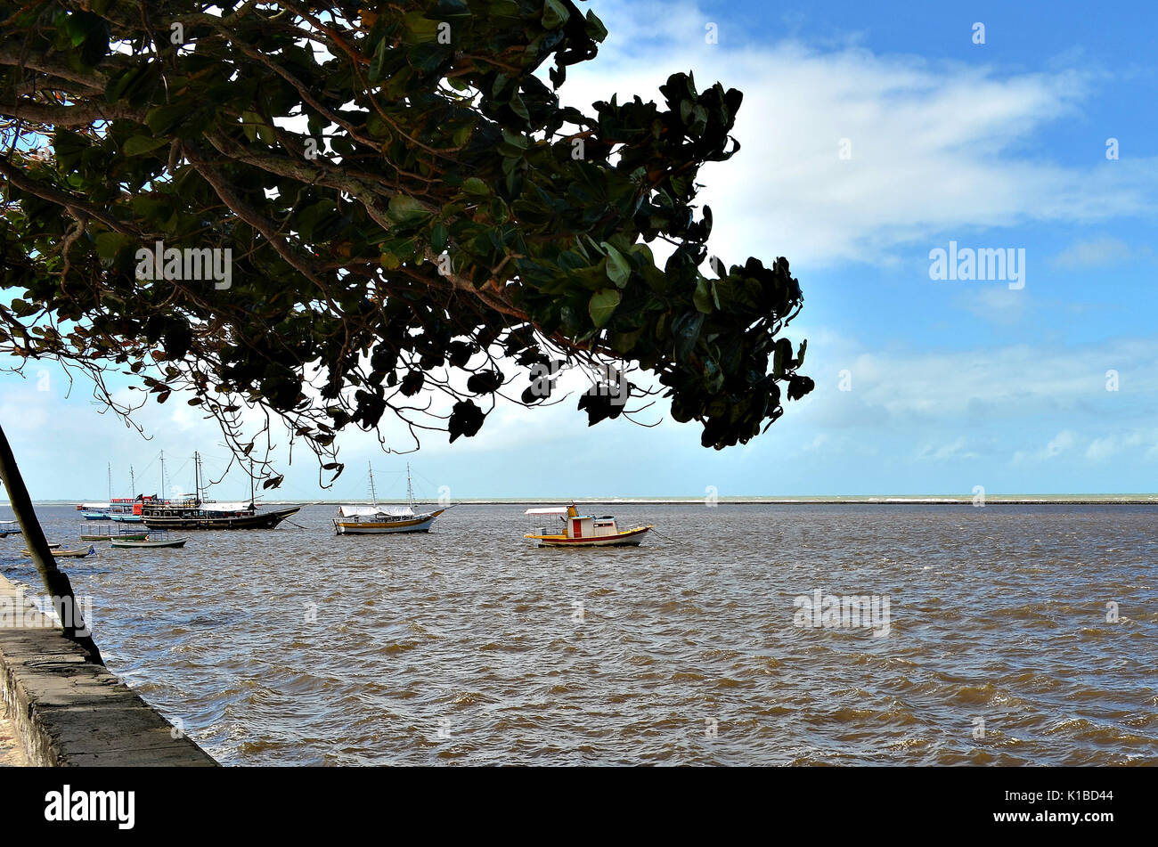 Small boats anchored in the sea protected by coral reefs in Porto Seguro, Bahia, Brazil. Almond on sidewalk by the sea. Stock Photo