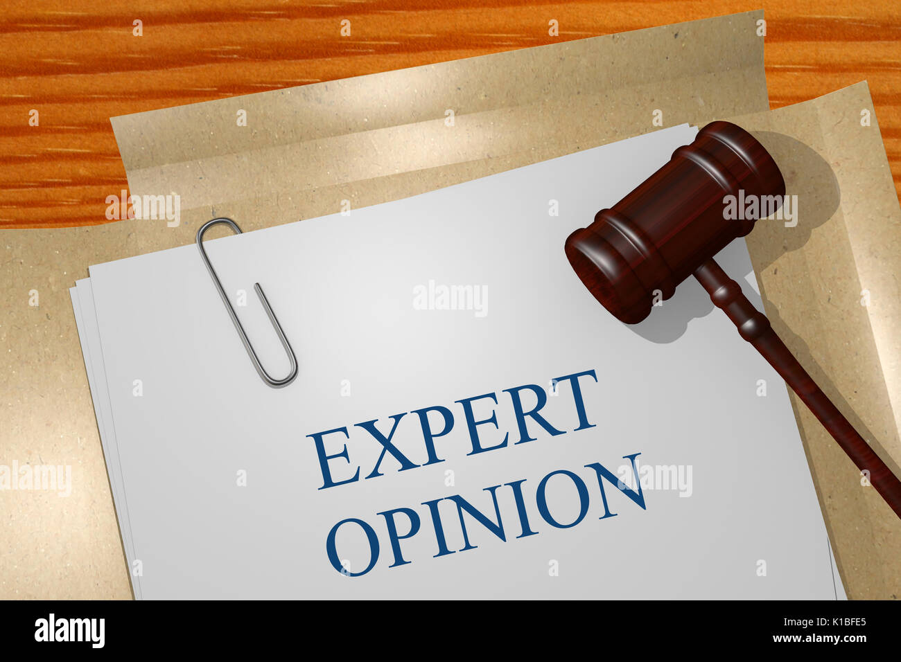 Expert opinion Title On Legal Documents Stock Photo