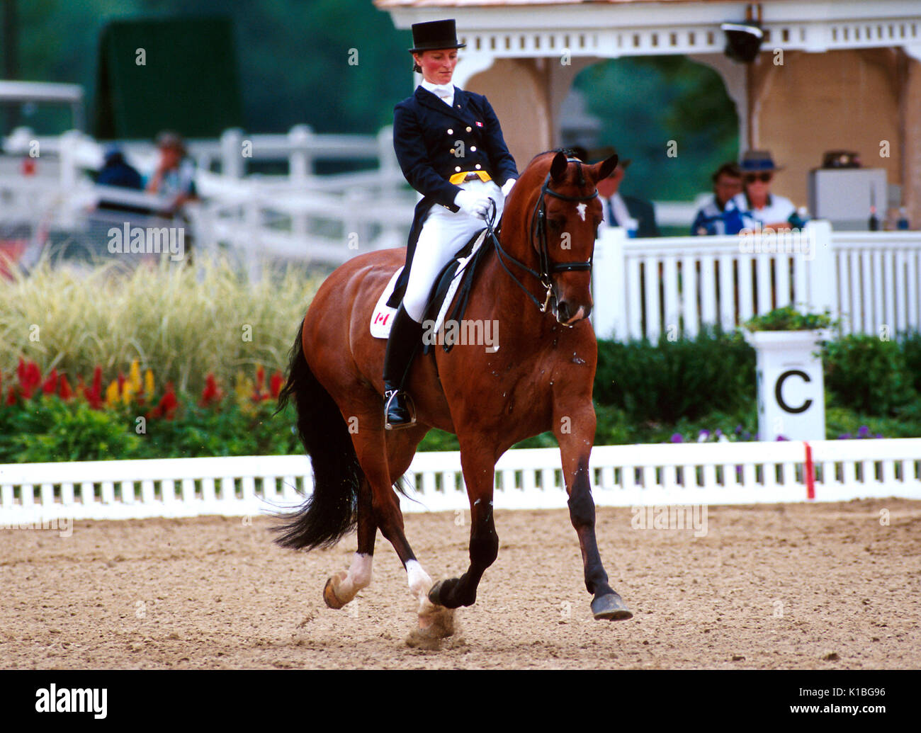 Gina Smith of Canada riding Faust in Dressage at the Olympic Games ...