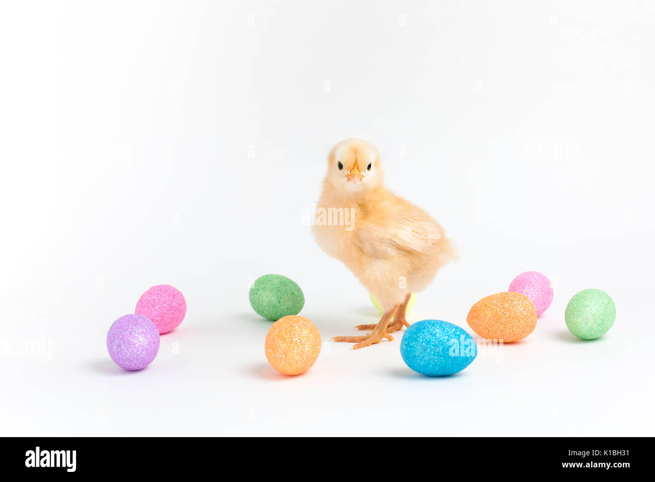 Yellow Easter chick stands on a white background among small glittery eggs Stock Photo