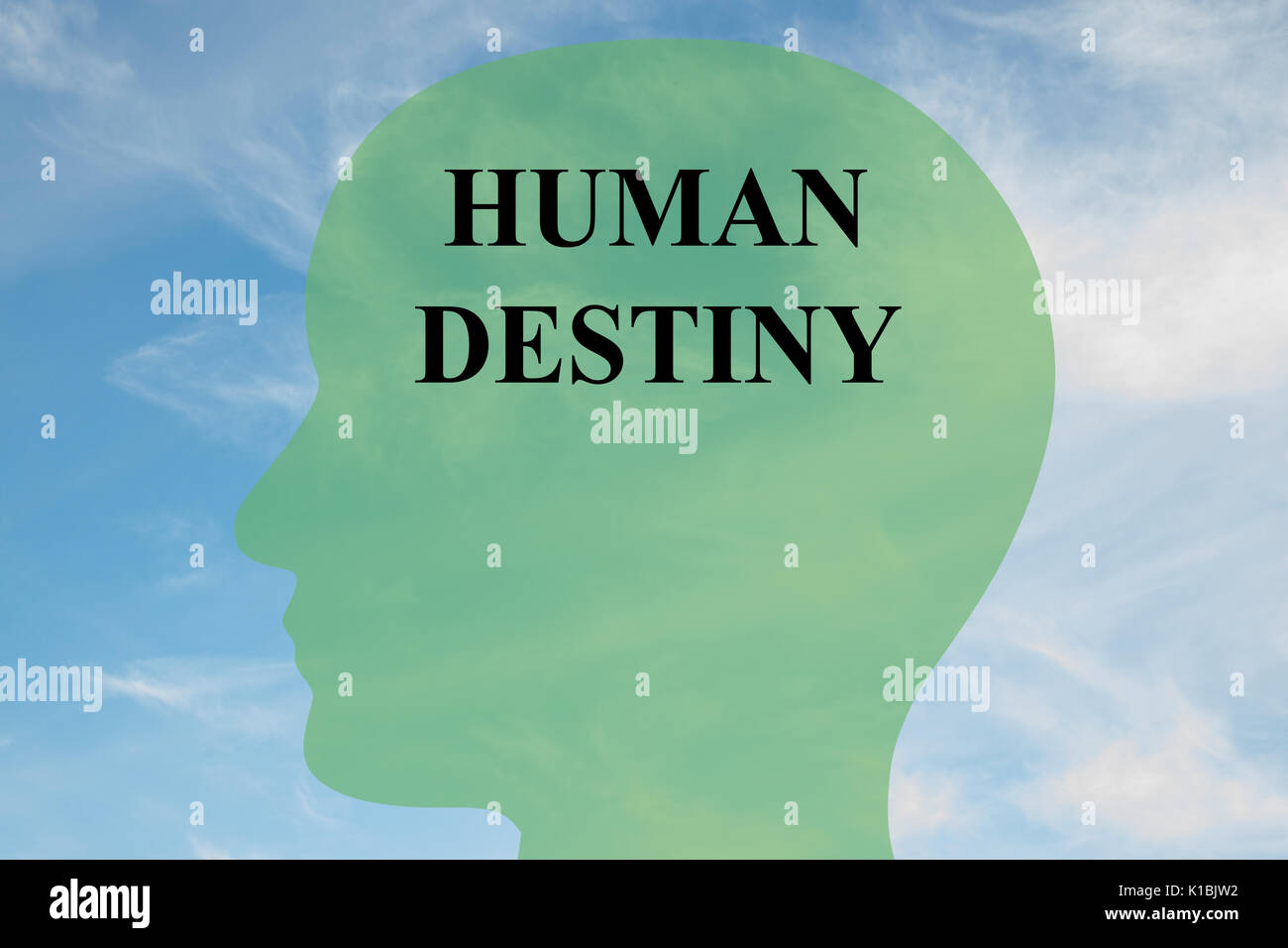 Render illustration of HUMAN DESTINY script on head silhouette, with cloudy sky as a background. Human mind concept. Stock Photo