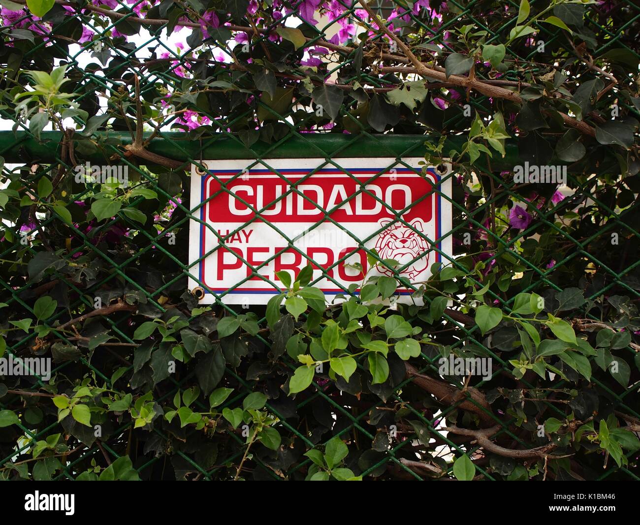 Cuidado con el perro Fotografía de stock - Alamy