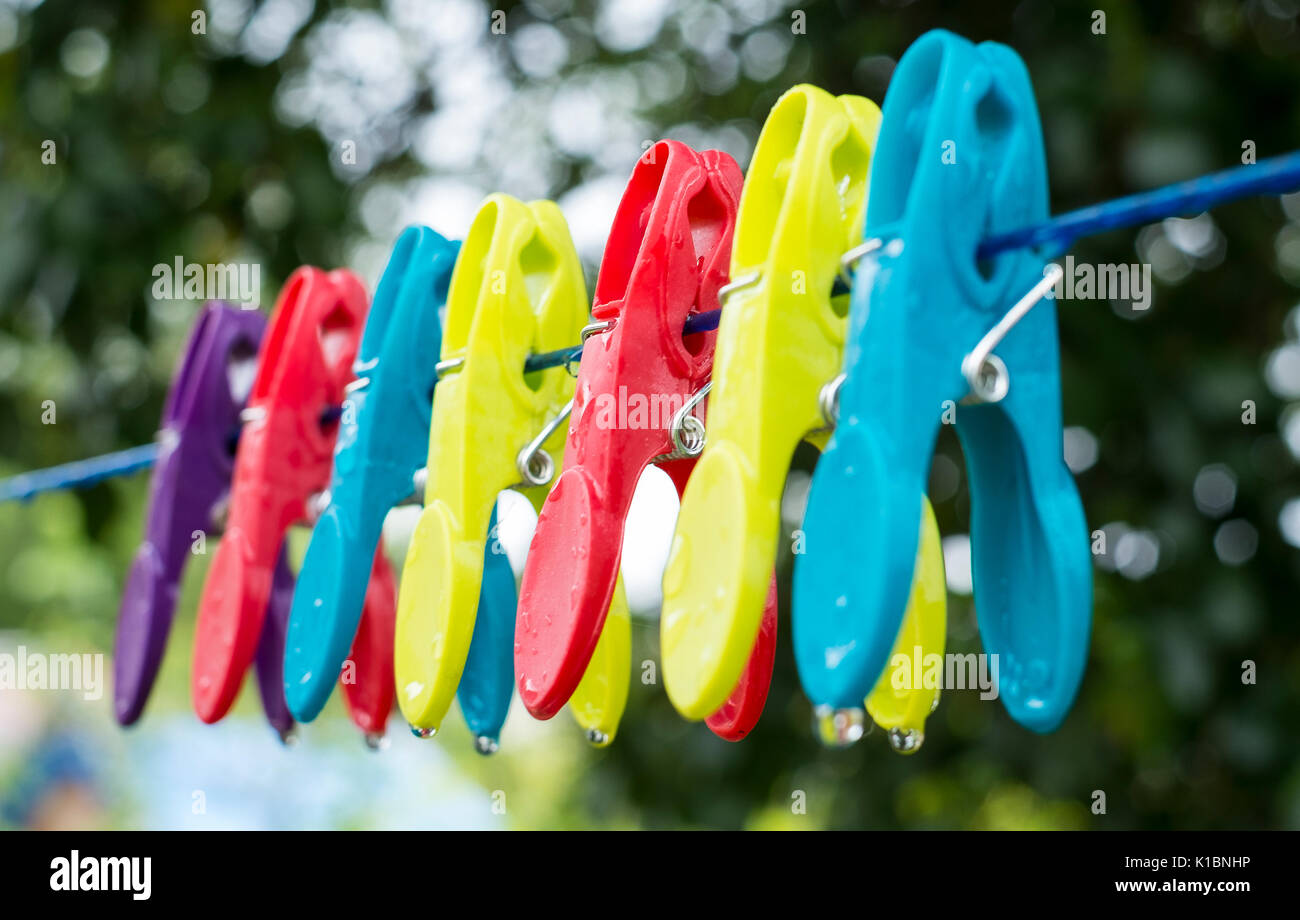 Row of colouful wet pegs on a washing line Stock Photo