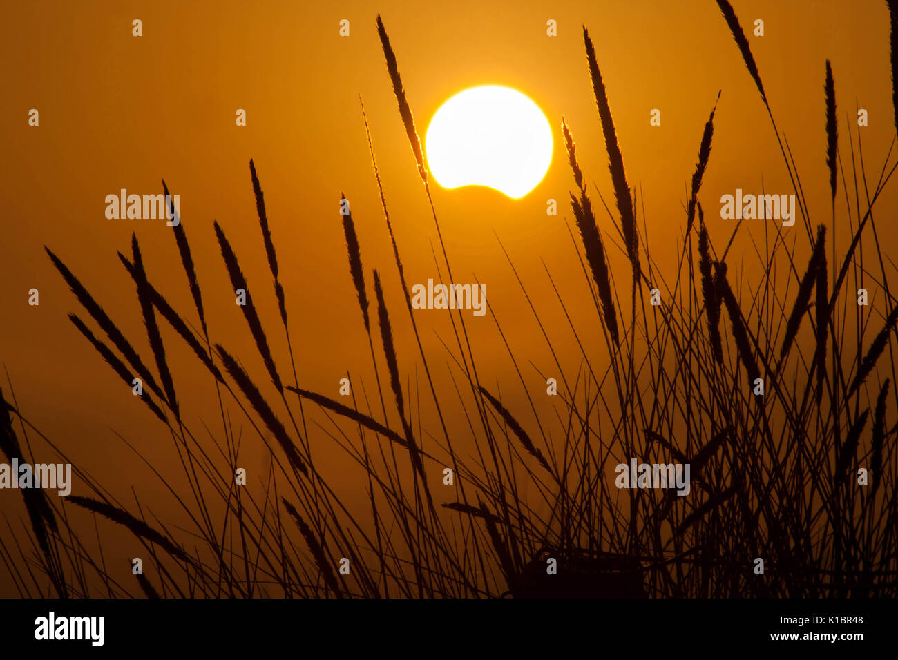 landscape close up with partial solar eclipse at sunset Stock Photo