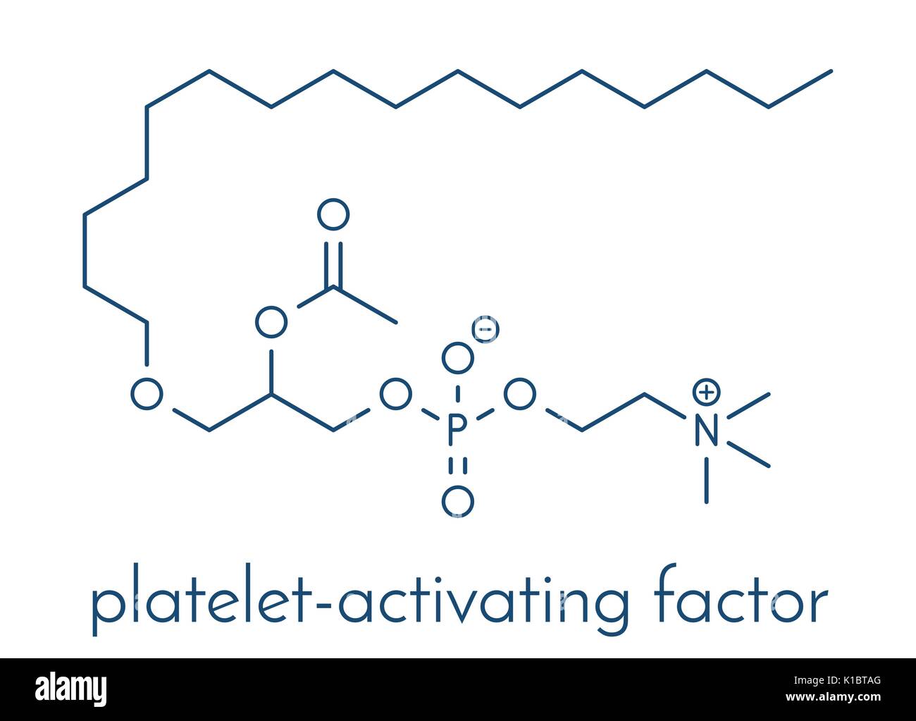 Platelet Activating Factor (PAF) signaling molecule. Skeletal formula