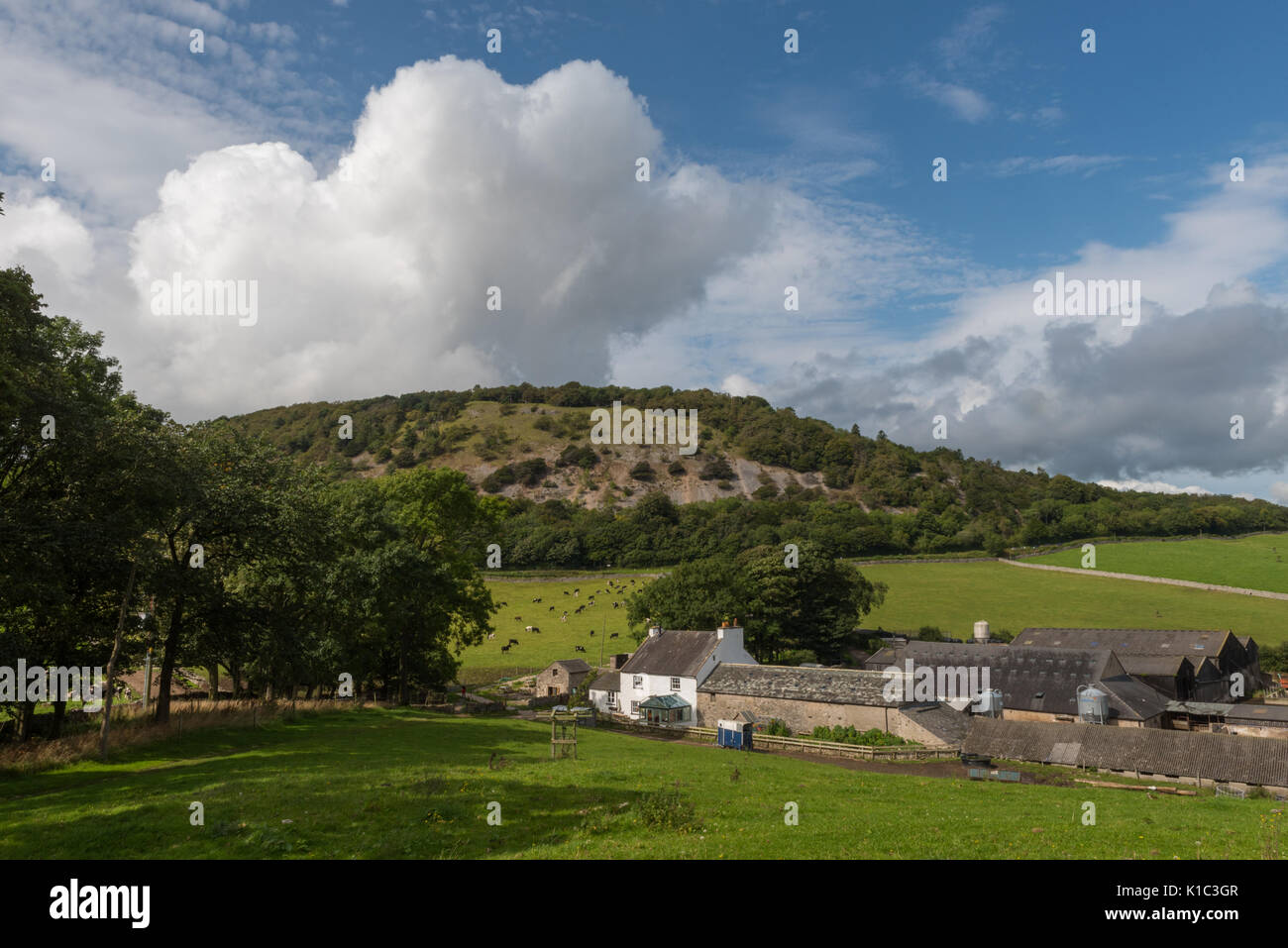 Arnside Knott and Tower Farm Arnside Cumbria Stock Photo