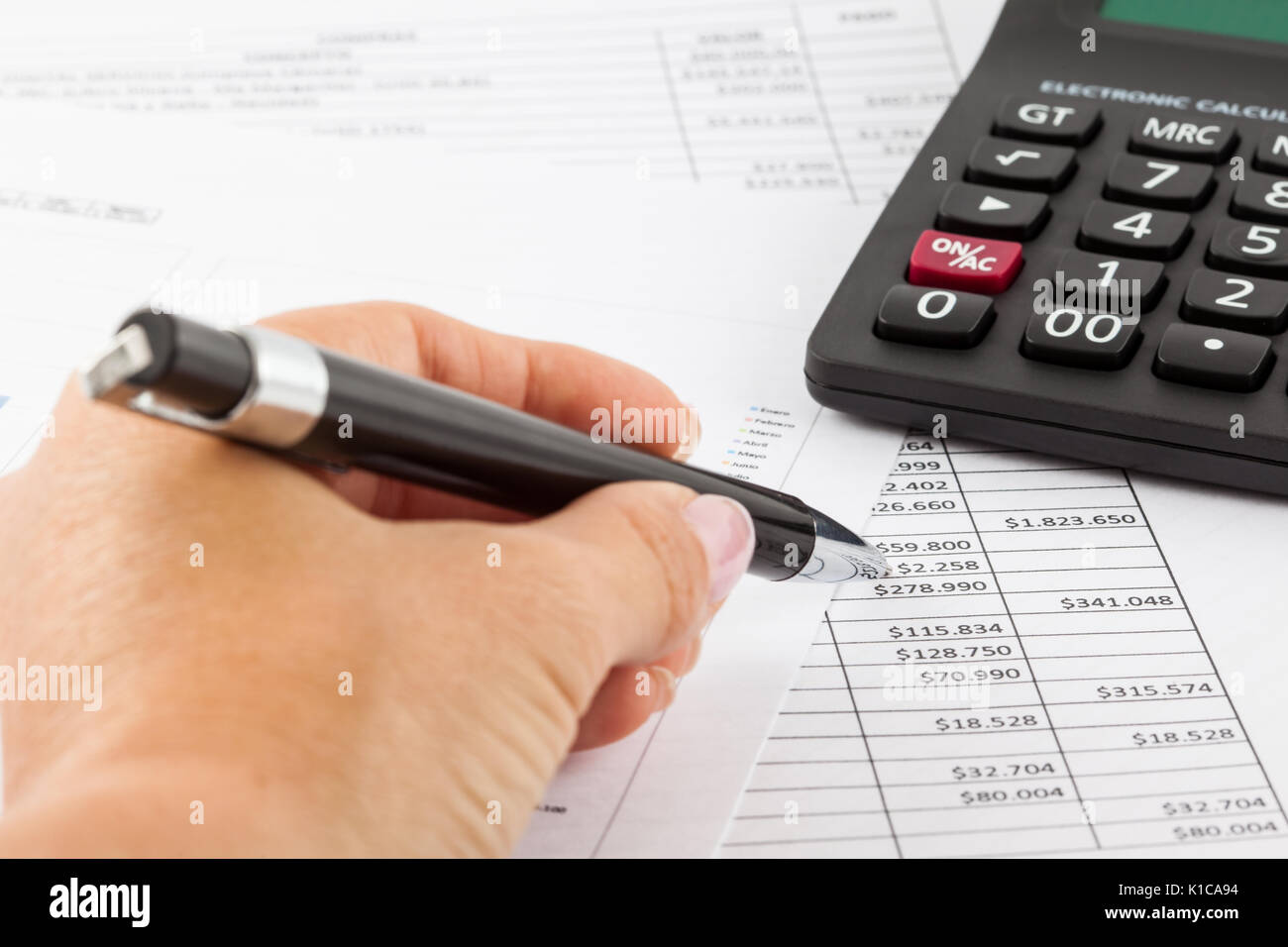 Woman analyzing a monthly budget Stock Photo