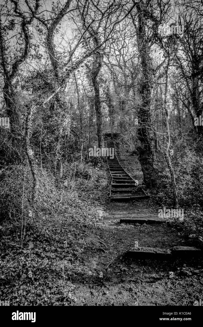 country camo air force 1