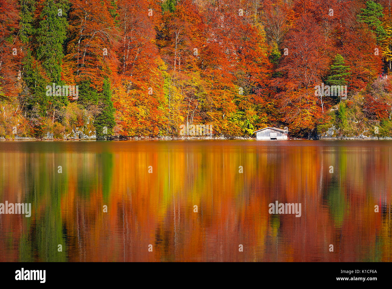 Trees with leaves in fall colors and a white wooden cottage, mirrored in the water of the Alpsee lake, located in Fussen, Germany. Stock Photo