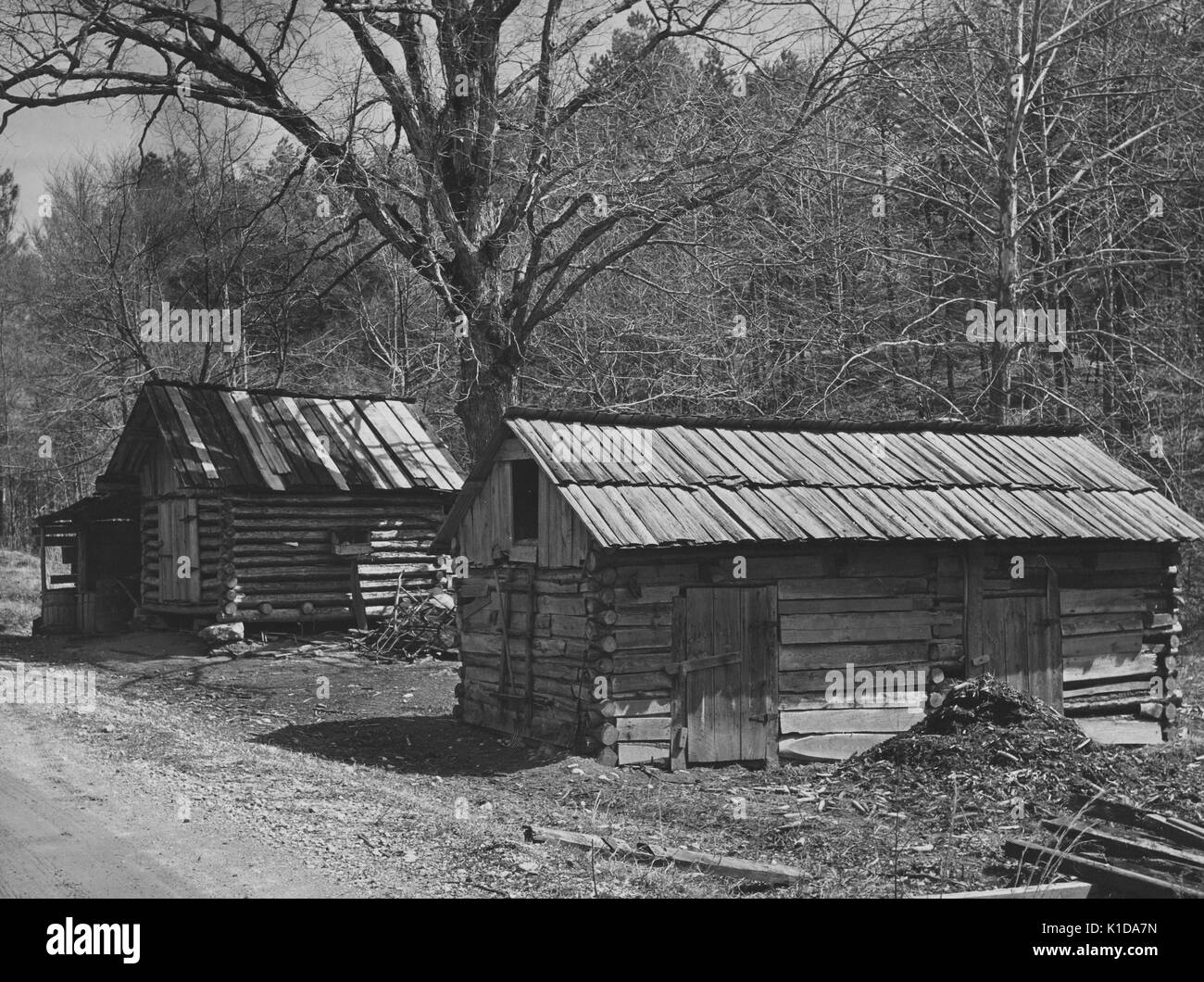 Two log cabins adjacent to a dirt road, surrounded by trees; North