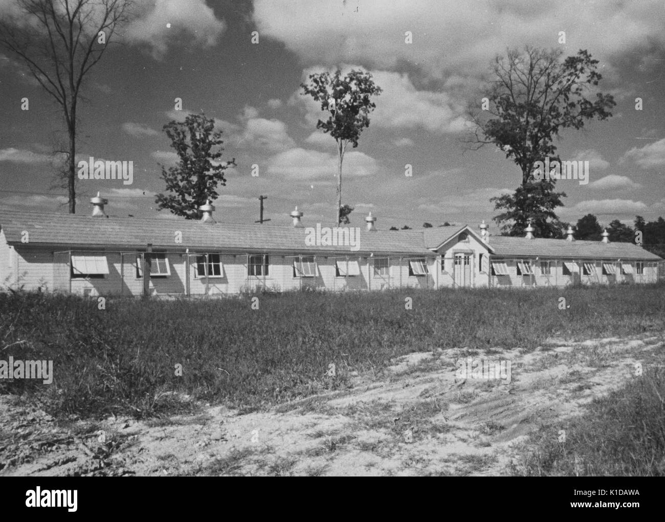 Chicken laying house in the poultry section of the United States