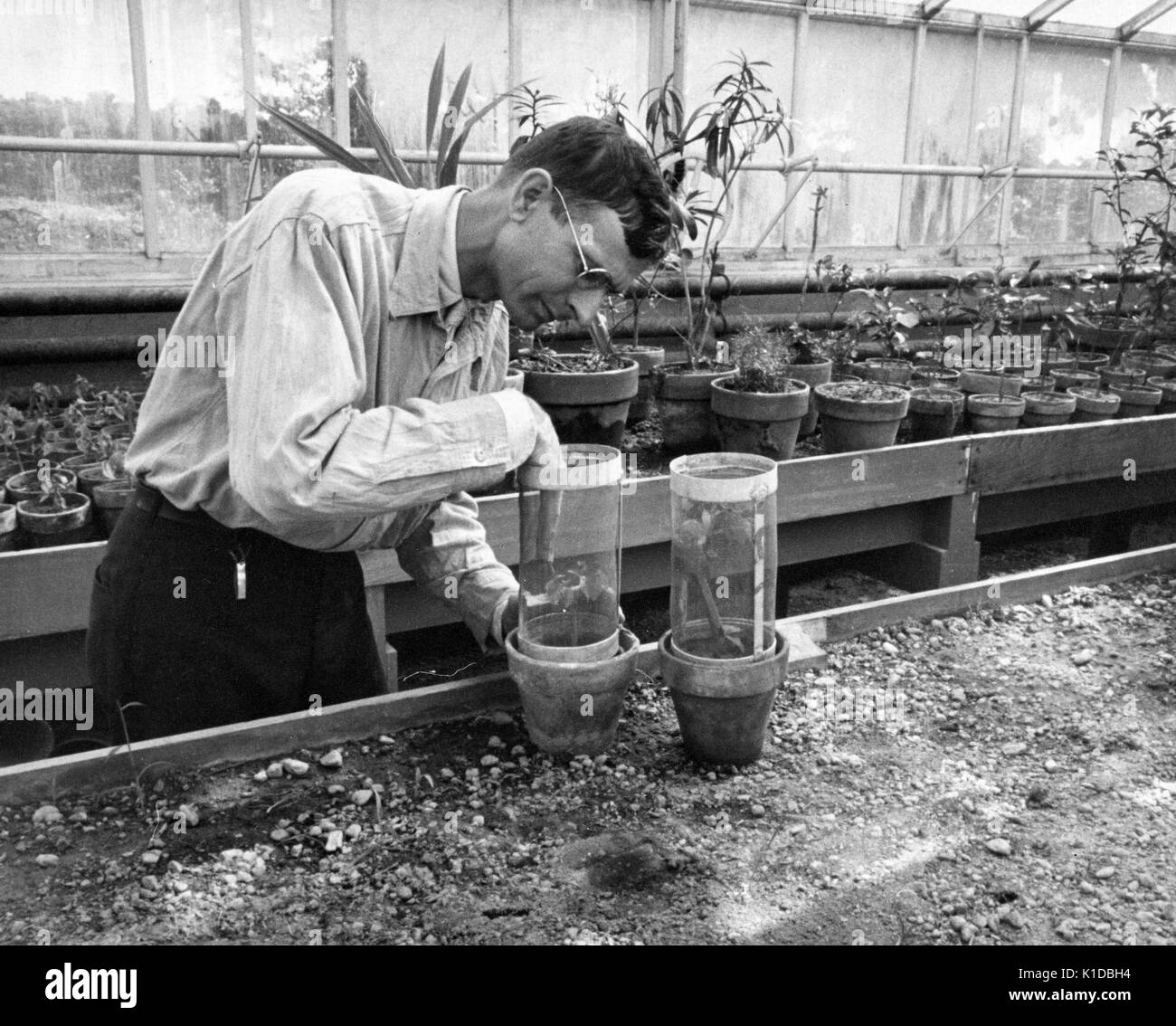 Inclusion exclusion Black and White Stock Photos & Images - Alamy