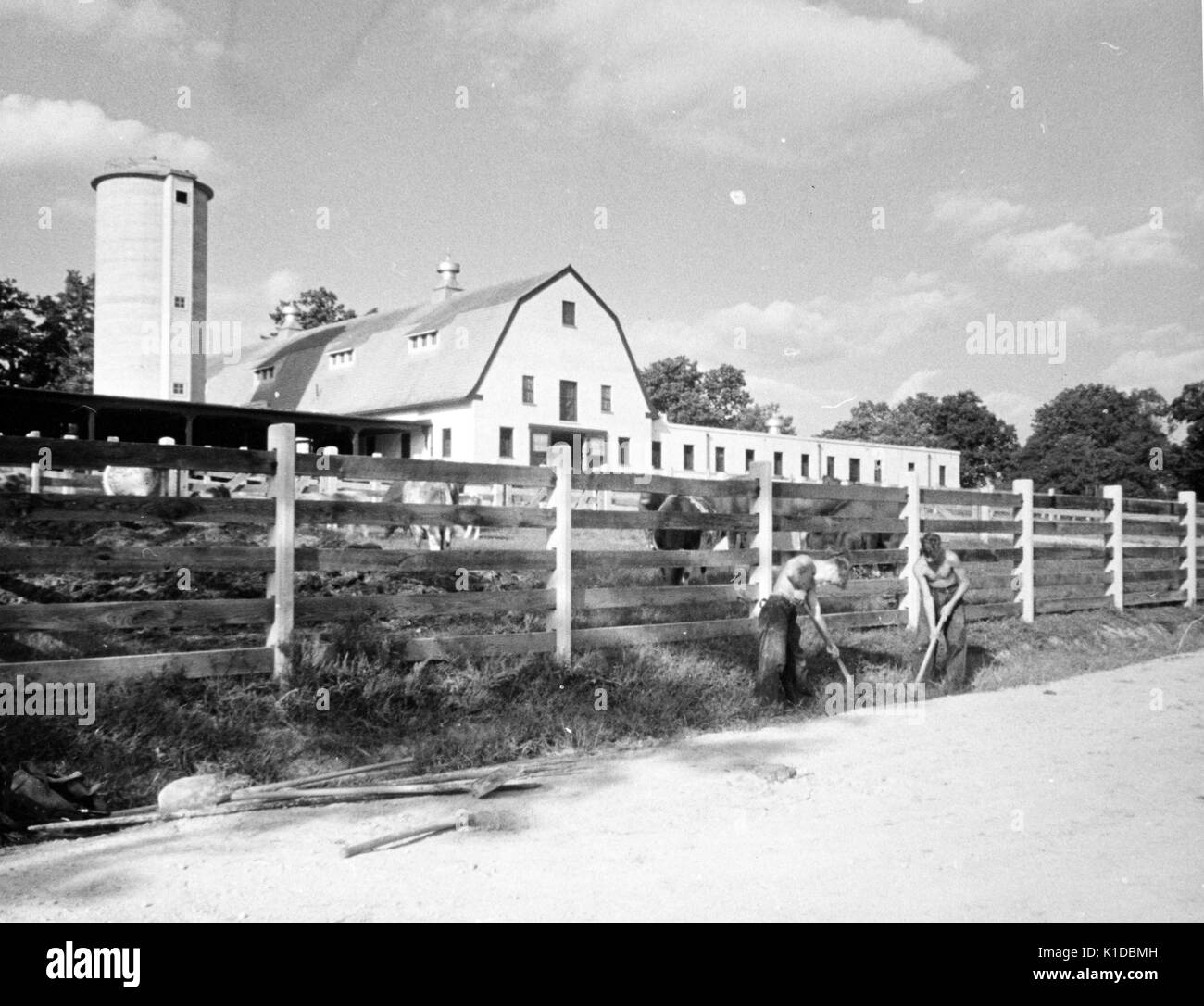 Workers from the Civilian Conservation Corps (CCC), shirtless, using