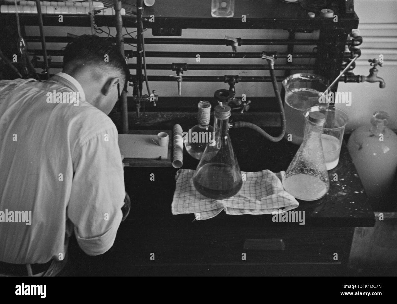 Scientist running experiments with flasks in a potato laboratory at the