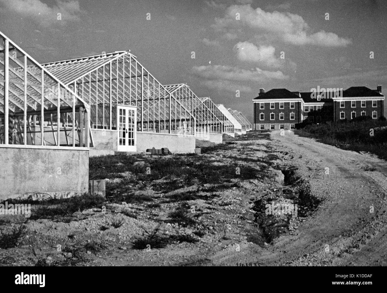 Greenhouses and section of the Horticultural Administration Building at