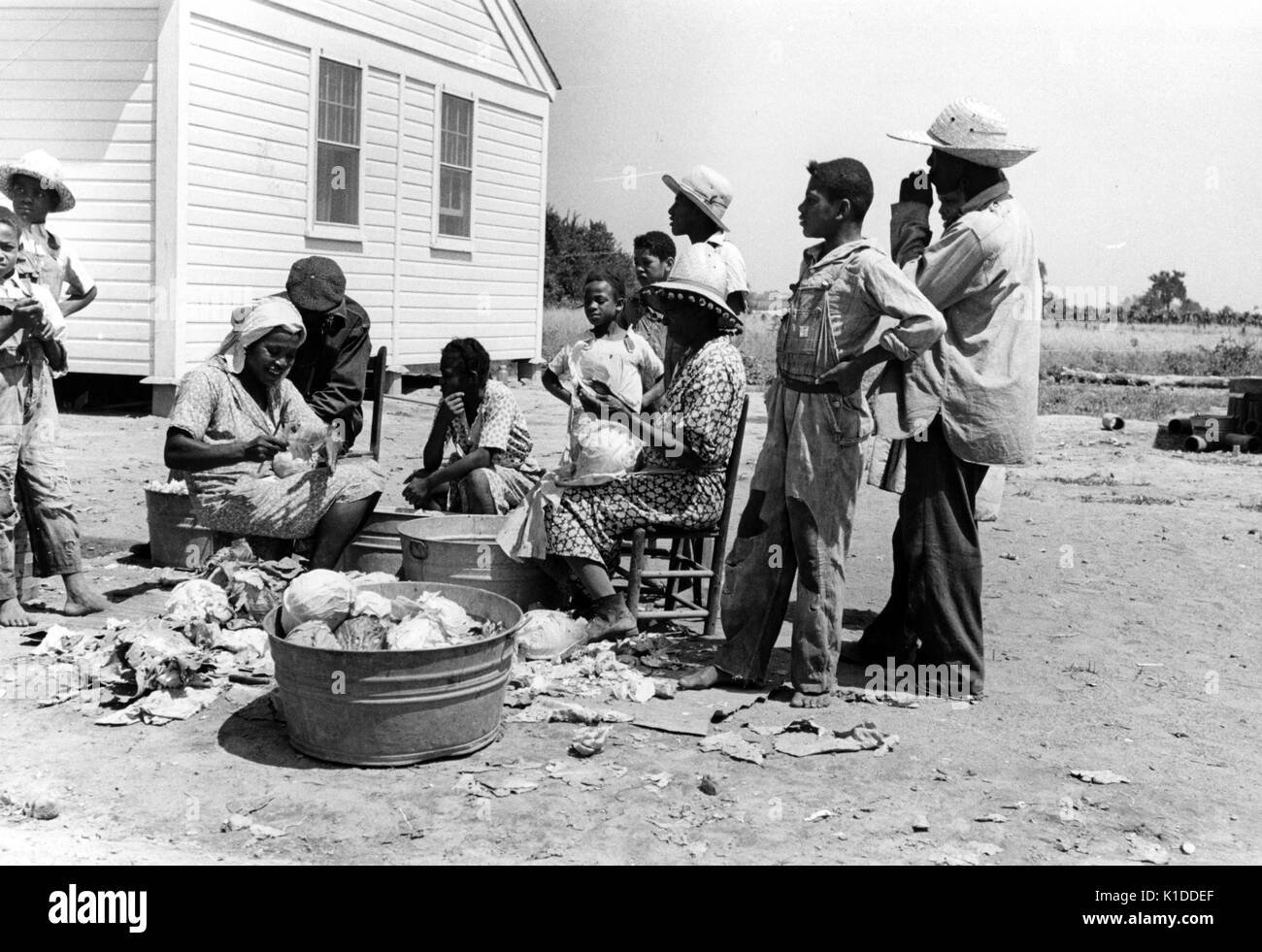 Southeast Missouri Farms Family of African-American Farm Security Administration clients shredding cabbage, 1938. From the New York Public Library. Stock Photo