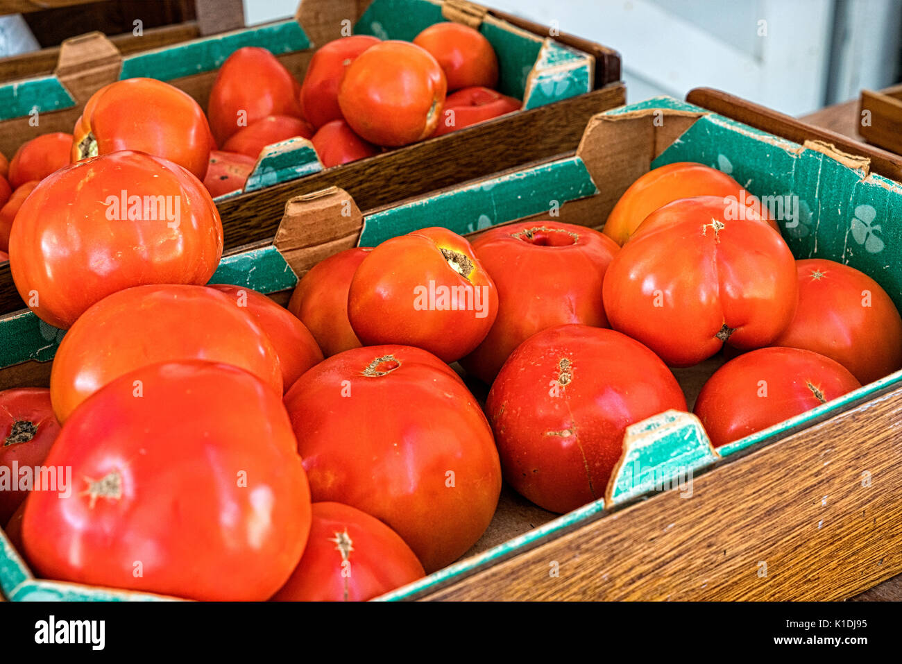 New Jersey, Cranbury.  Red Ripe New Jersey Beefsteak Tomatores, Displayed in Cardboard Cartons and Offered For Sale in a Roadside Farmstand. Stock Photo