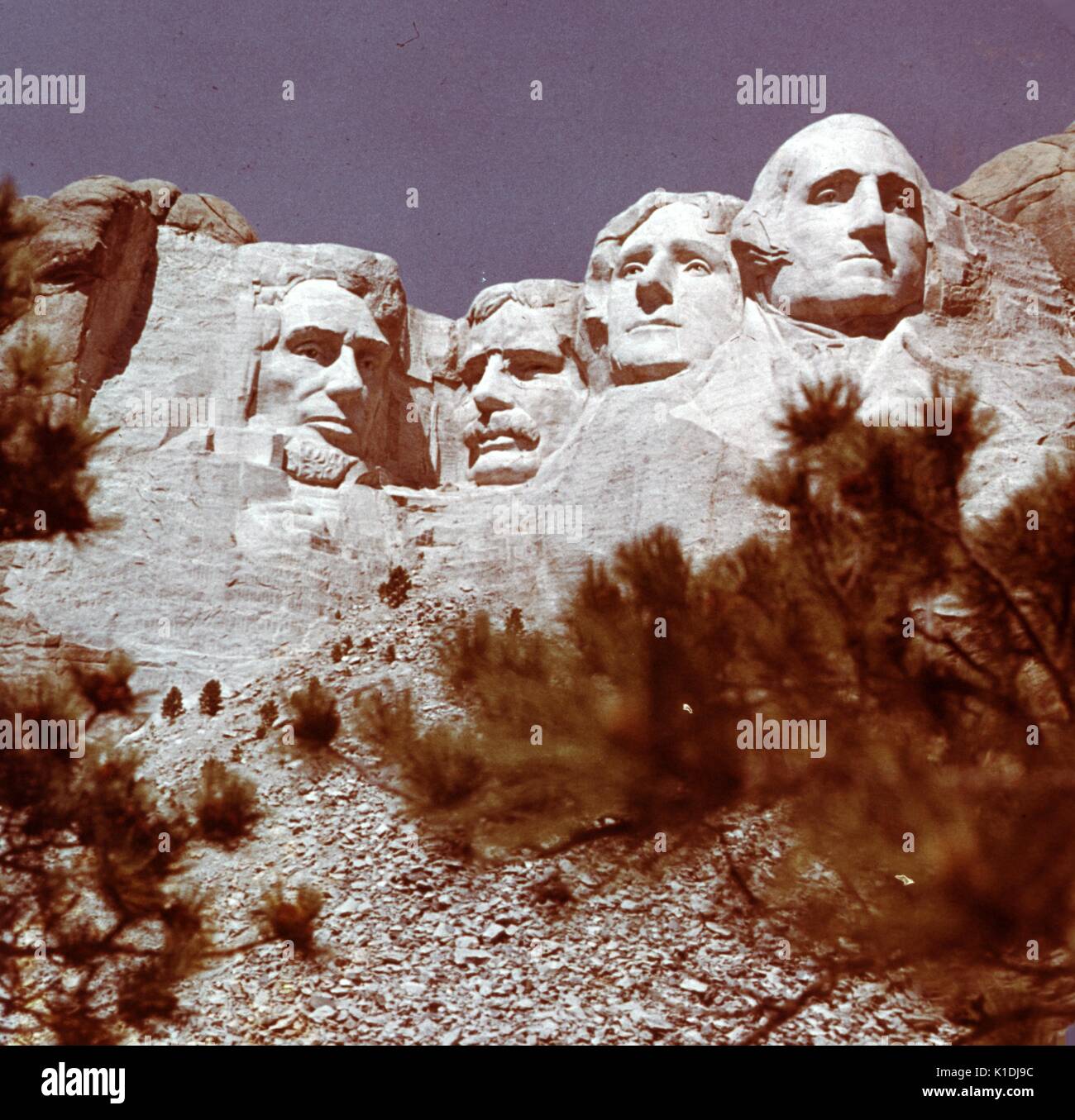 A photograph of Mount Rushmore, taken from a low angle, view is partially obstructed by tree branches, in the Black Hills in Keystone, South Dakota, 1975. Stock Photo
