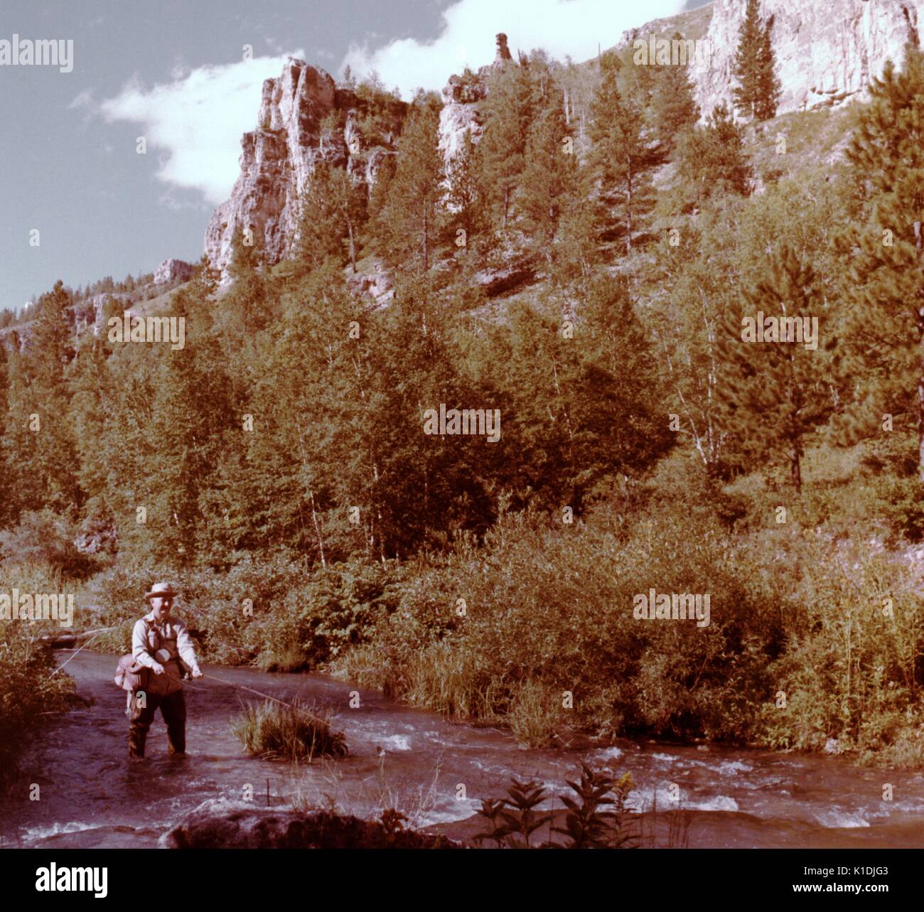 Man fly fishing in Spearfish Canyon, Black Hills, South Dakota, 1975 Stock Photo Alamy