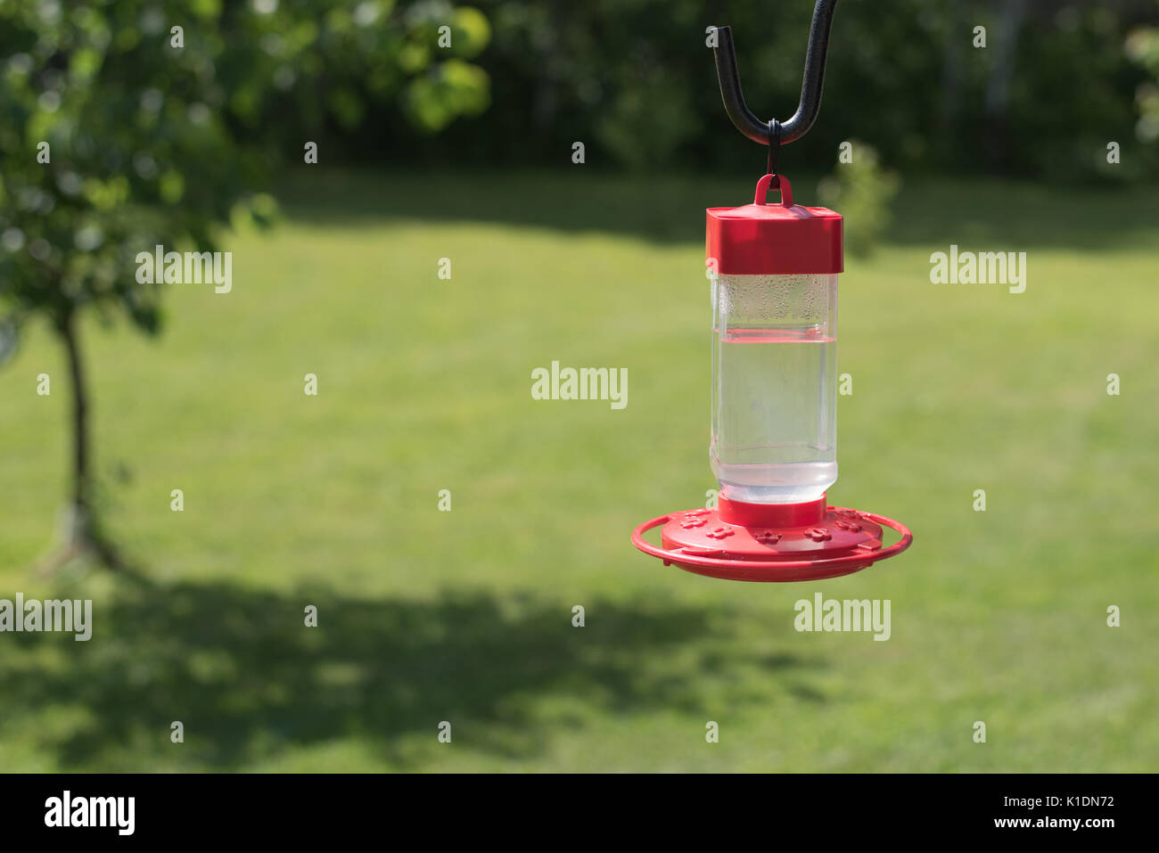 View of Hummingbird Feeder Hanging on Hook Stock Photo Alamy