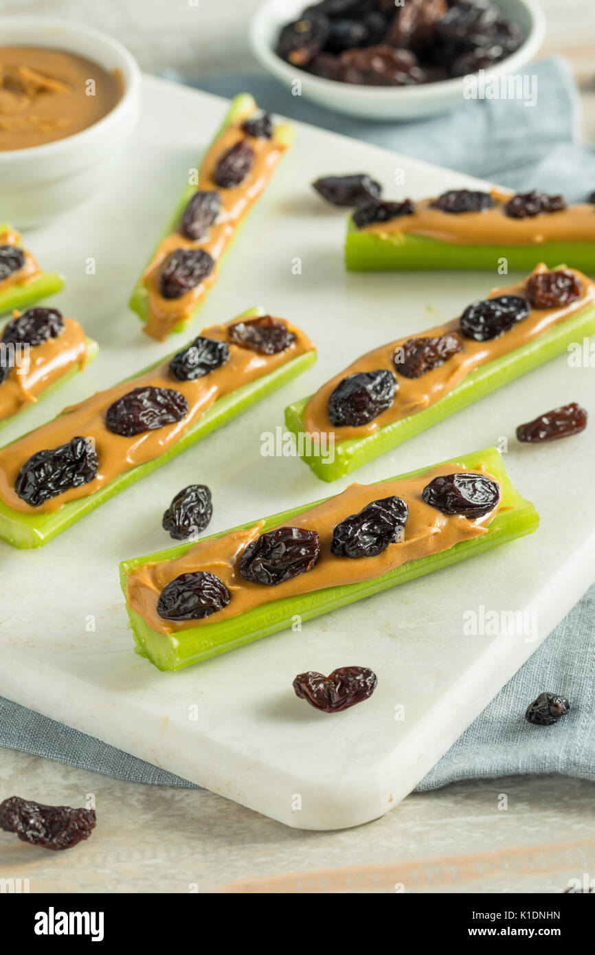 Homemade Ants on a Log Snack with Celery Peanut Butter and Raisins
