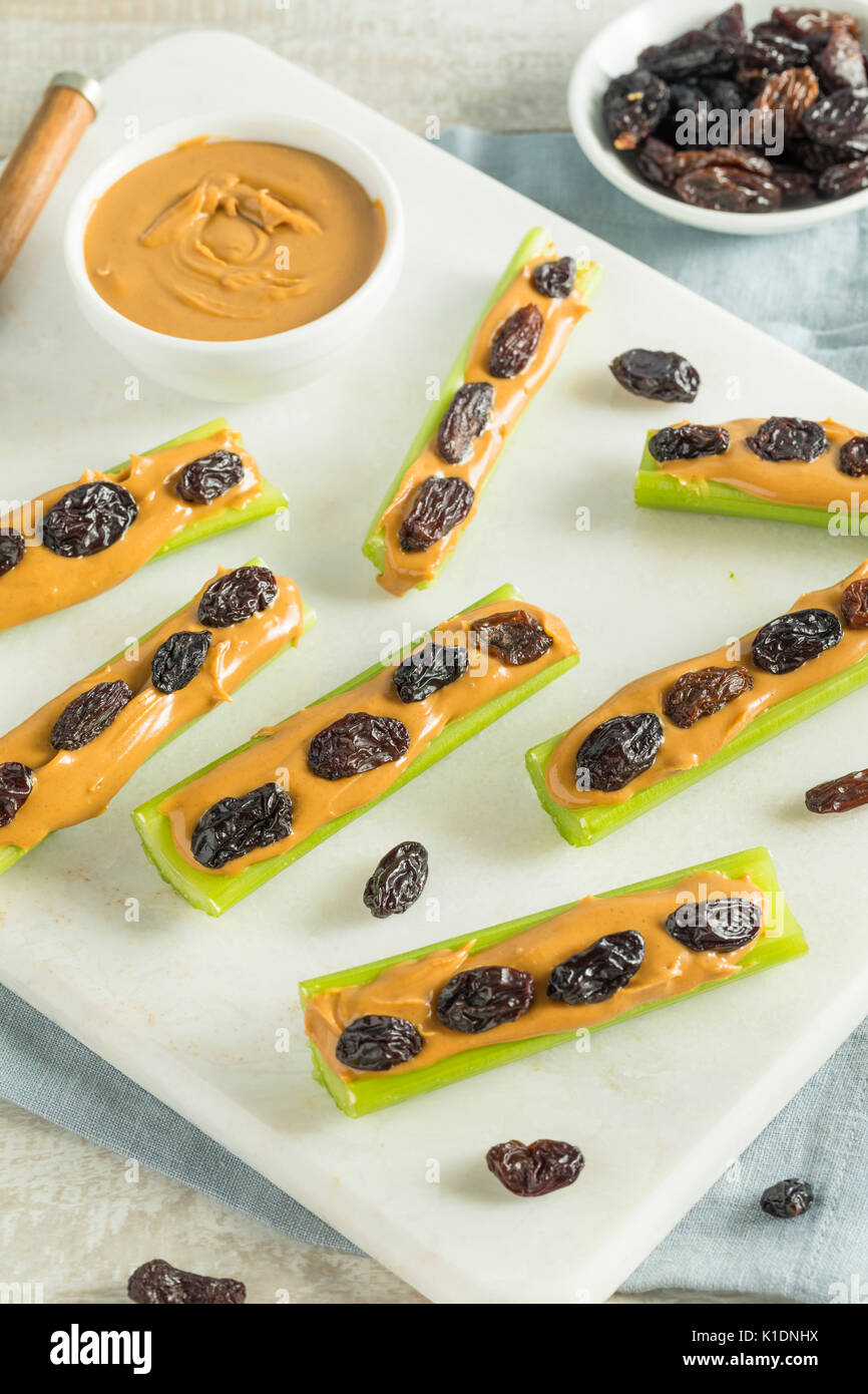 Homemade Ants on a Log Snack with Celery Peanut Butter and Raisins