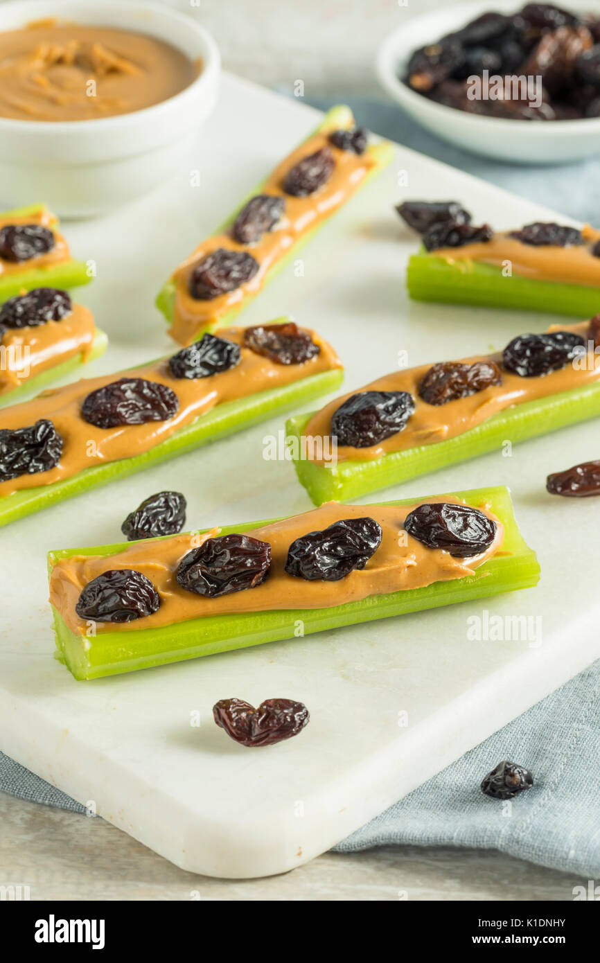 Homemade Ants on a Log Snack with Celery Peanut Butter and Raisins