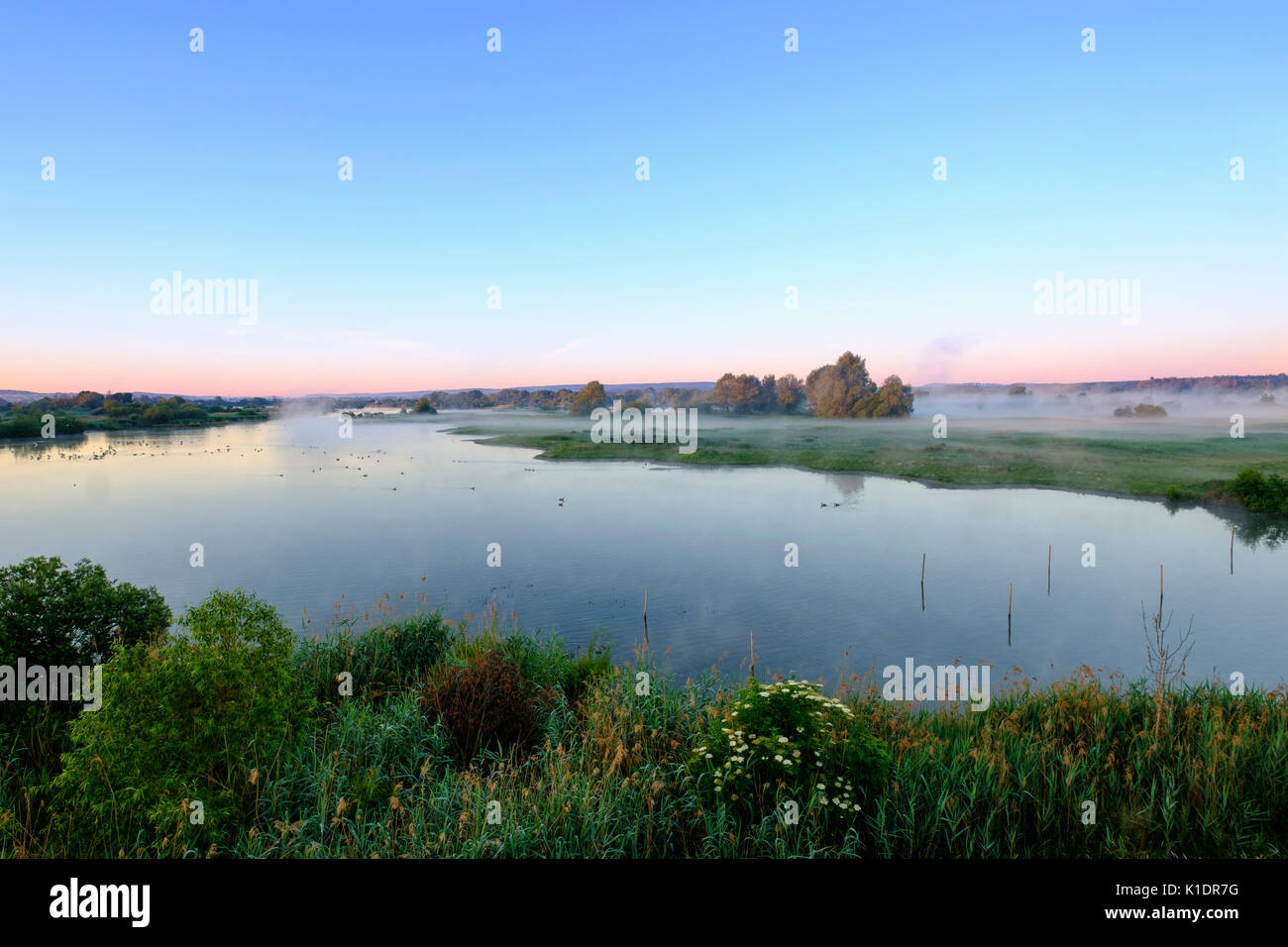 Muhr hi-res stock photography and images - Alamy