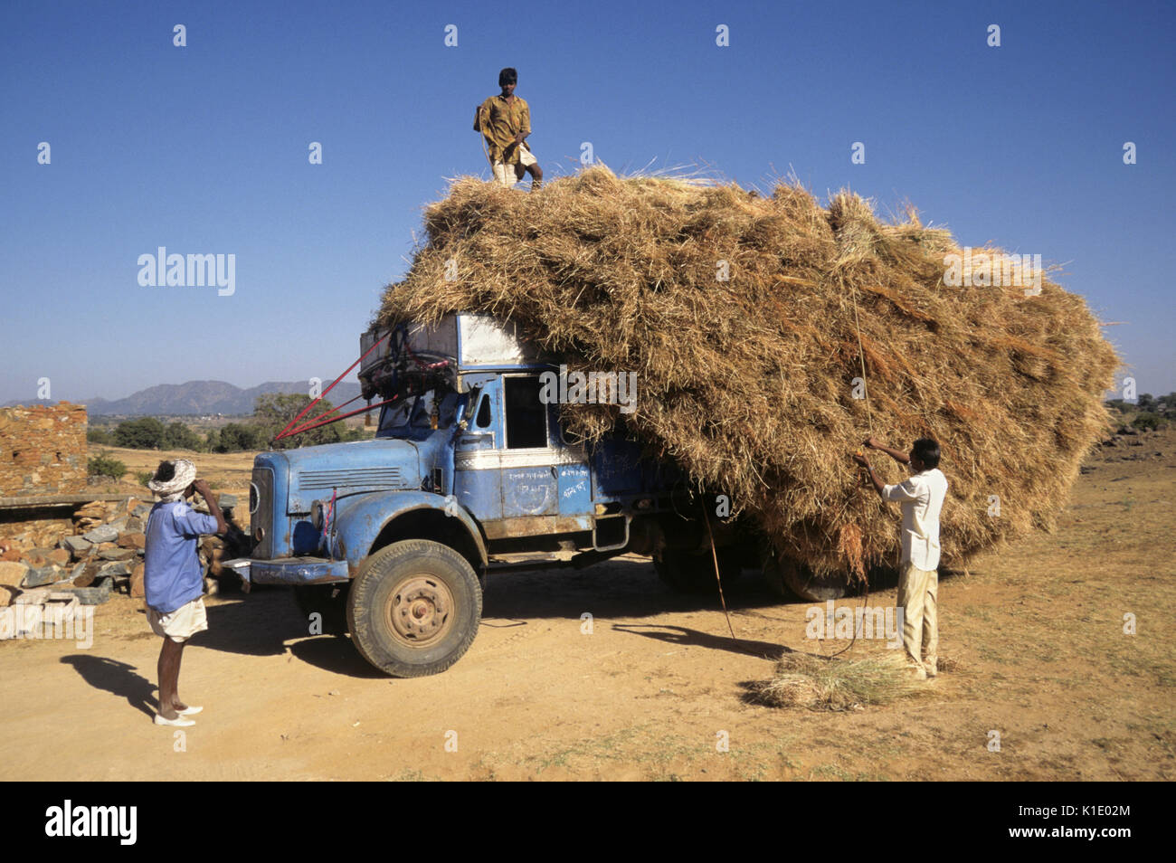 Men rearranging load of hay falling off of old truck, rural India Stock Photo