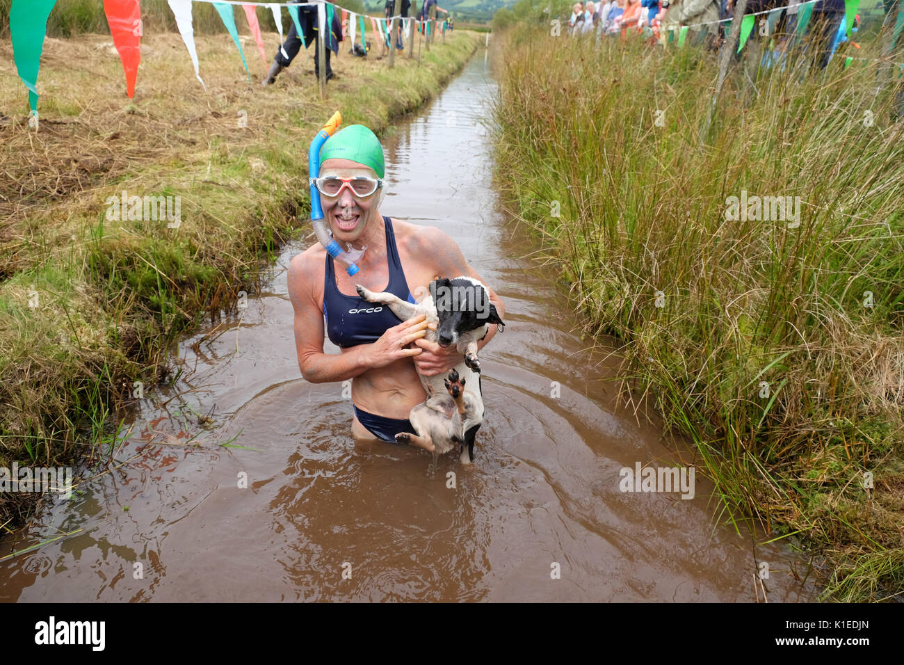 Bog Snorkelling World Championship, Llanwrtyd Wells, Powys, Wales, UK