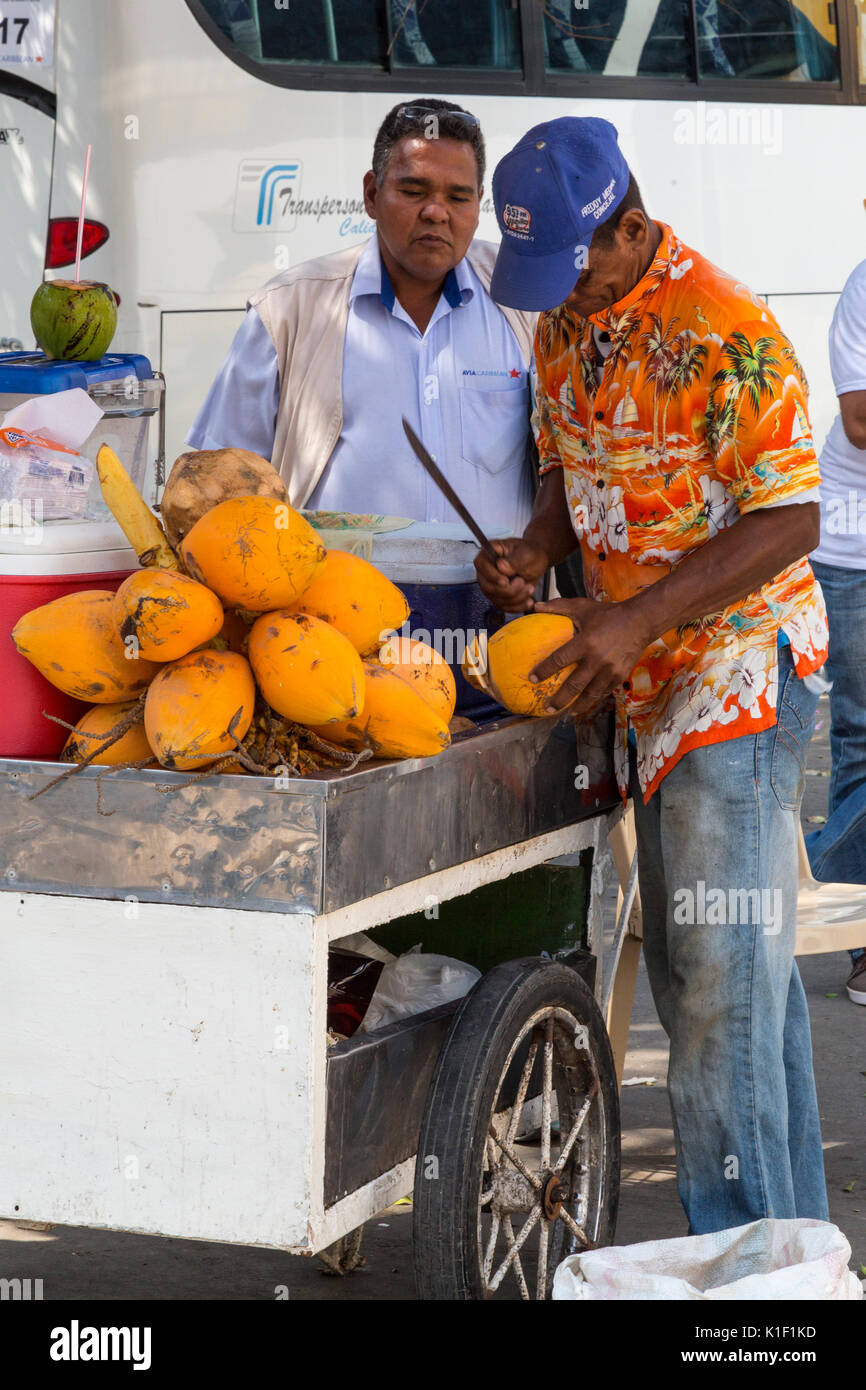 Cartagena, Colombia.  Las Bovedas (The Dungeons).  Opening a Coconut for a Customer at a Streetside Stand. Stock Photo